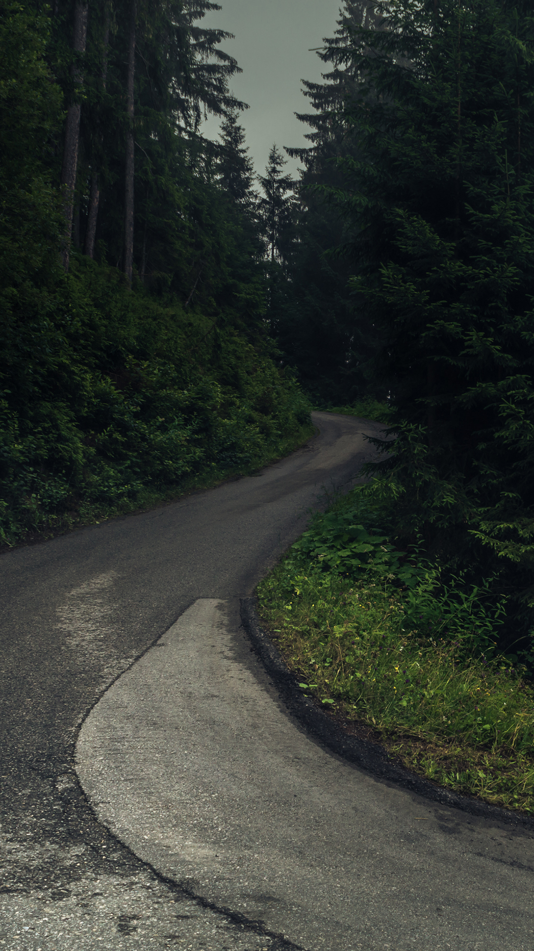 Path, Plant, Road Surface, Natural Landscape, Asphalt. Wallpaper in 1080x1920 Resolution