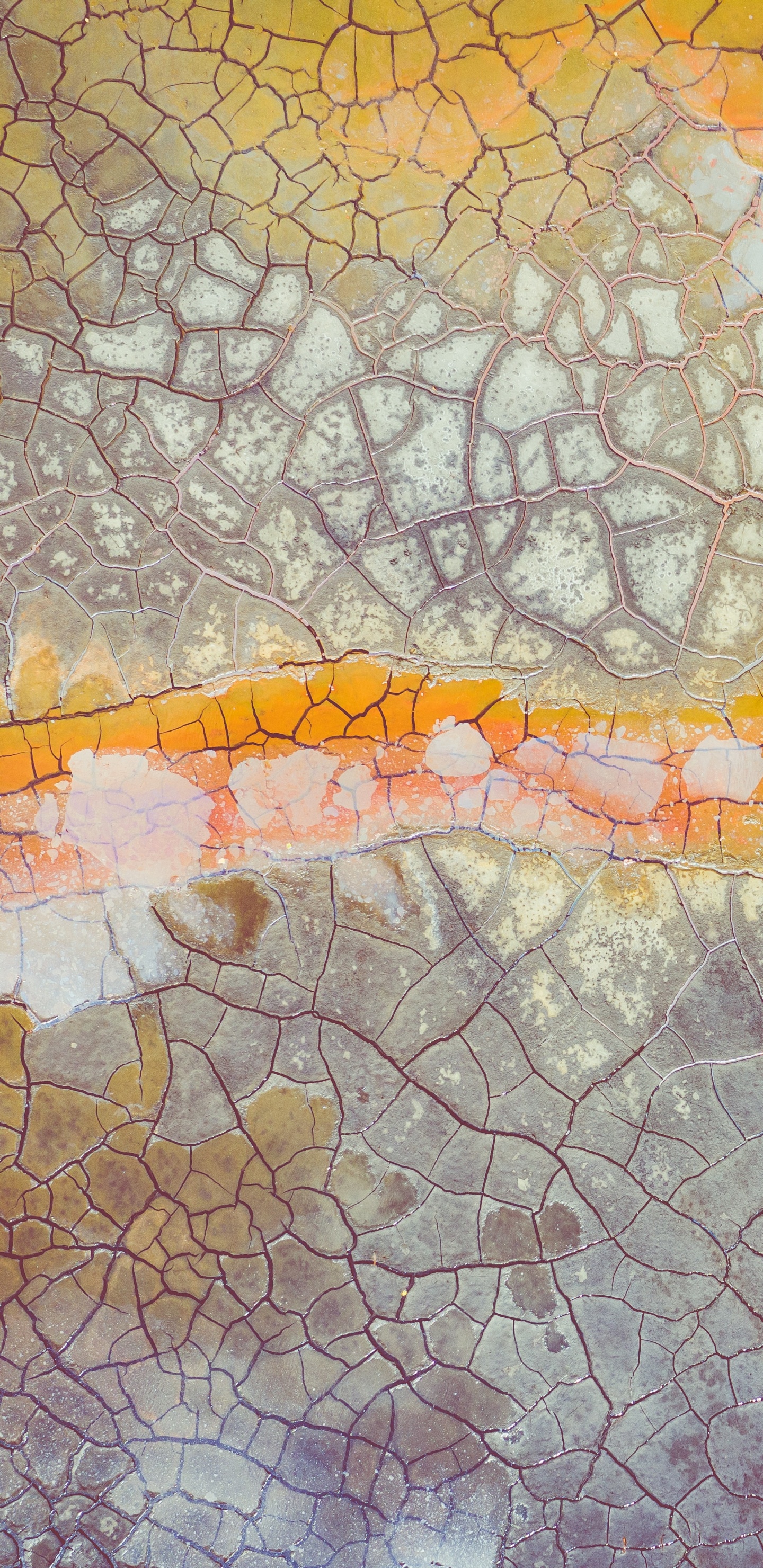 Weiße Und Braune Abstrakte Malerei. Wallpaper in 1440x2960 Resolution