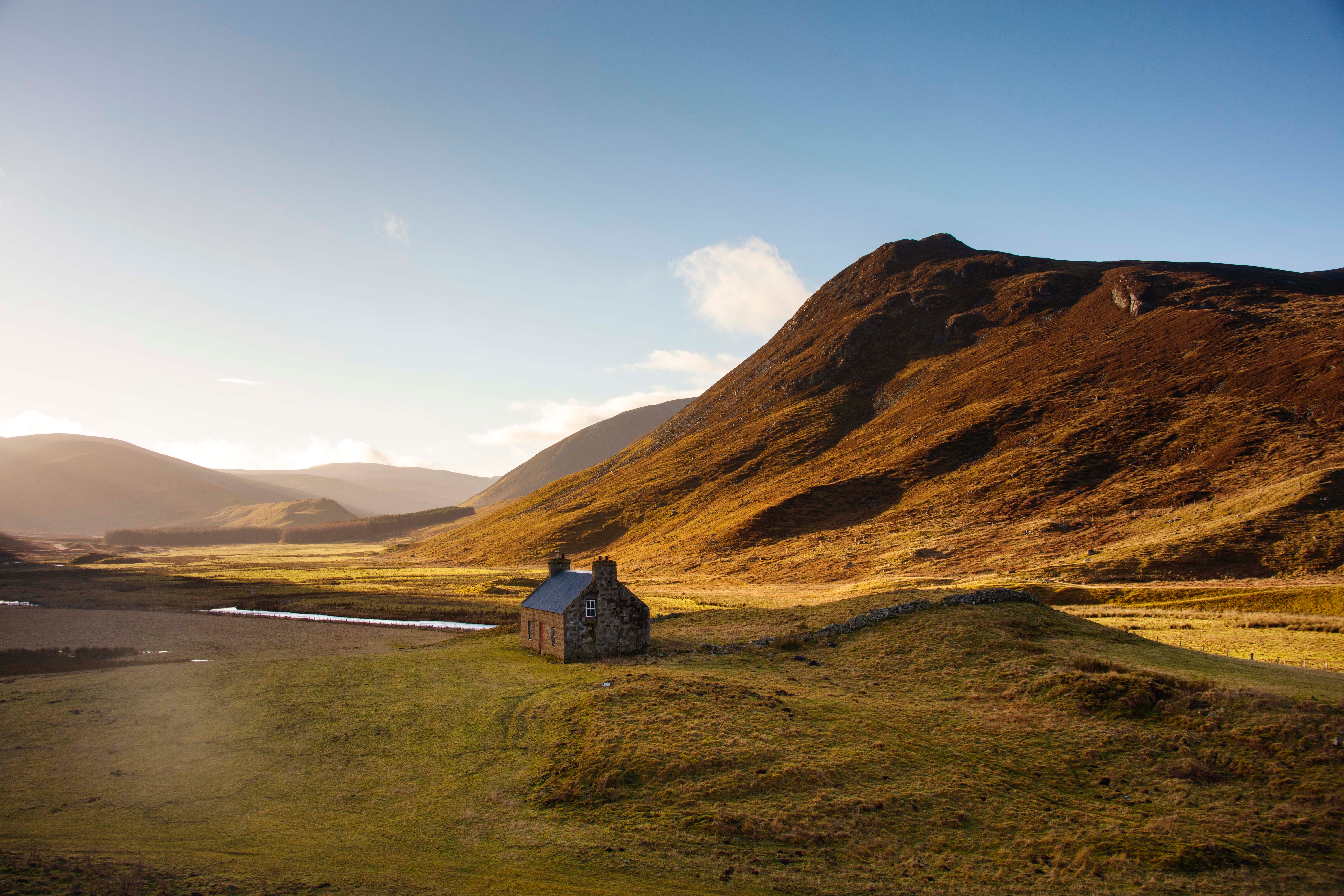 scottish wallpaper sale