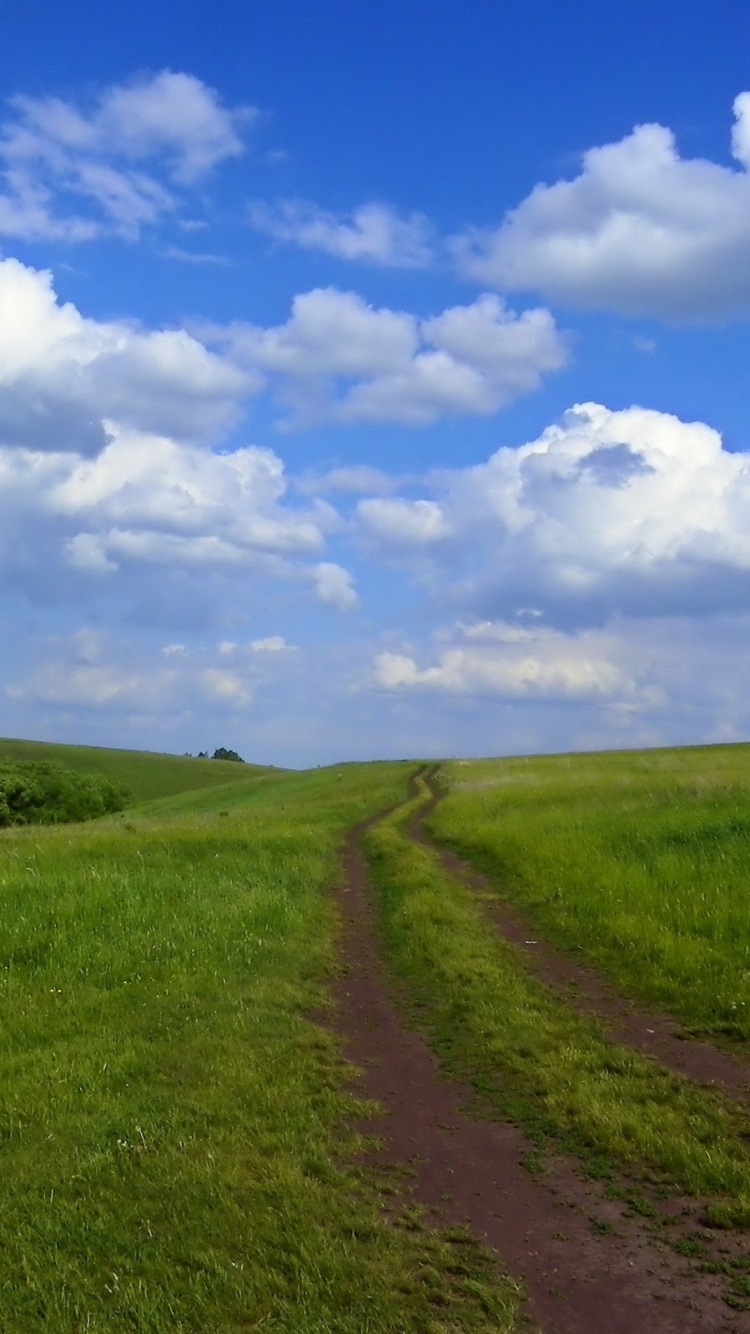 Green Grass Field Under Blue Sky and White Clouds During Daytime. Wallpaper in 750x1334 Resolution