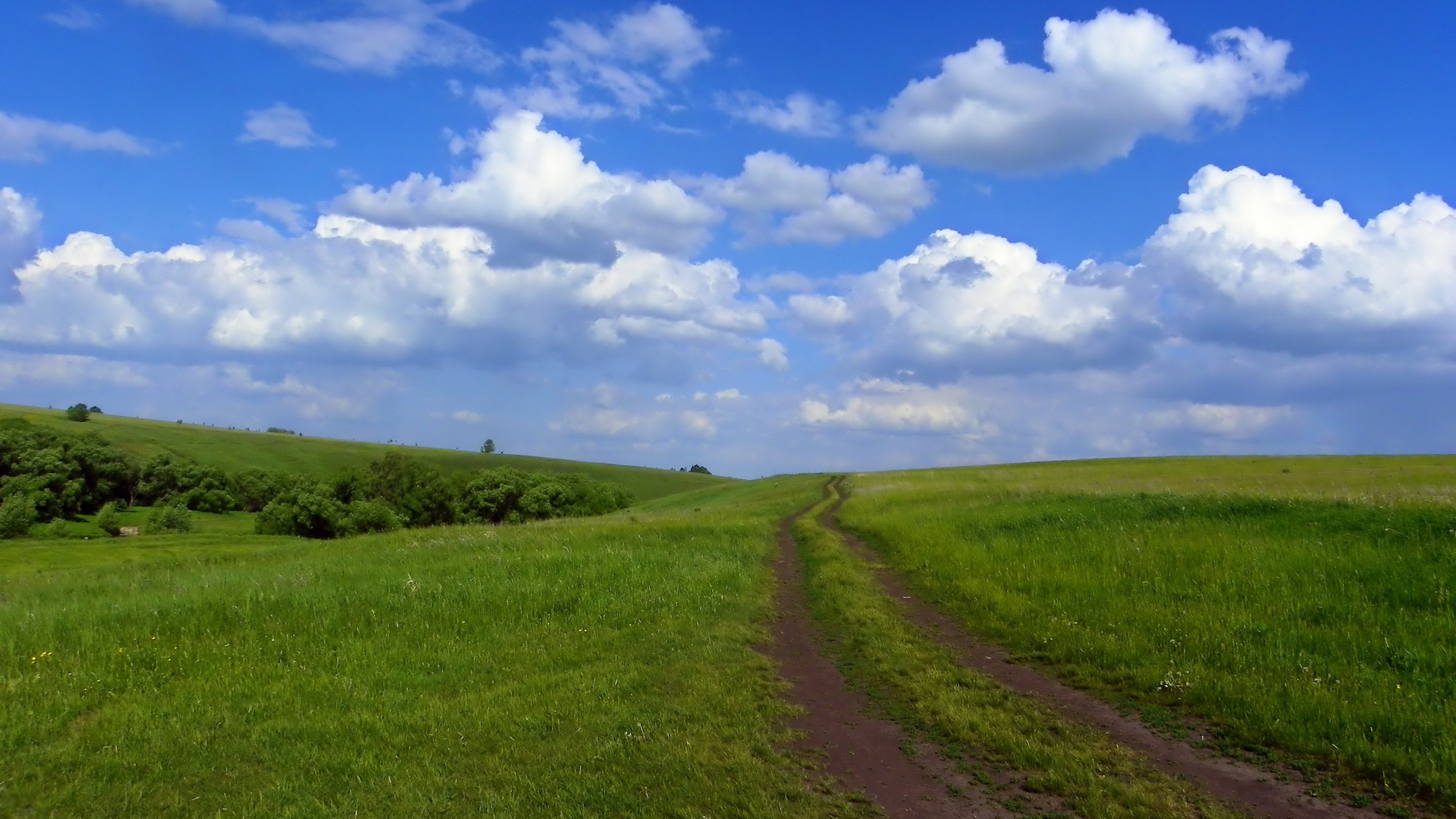 Champ D'herbe Verte Sous Ciel Bleu et Nuages Blancs Pendant la Journée. Wallpaper in 2560x1440 Resolution