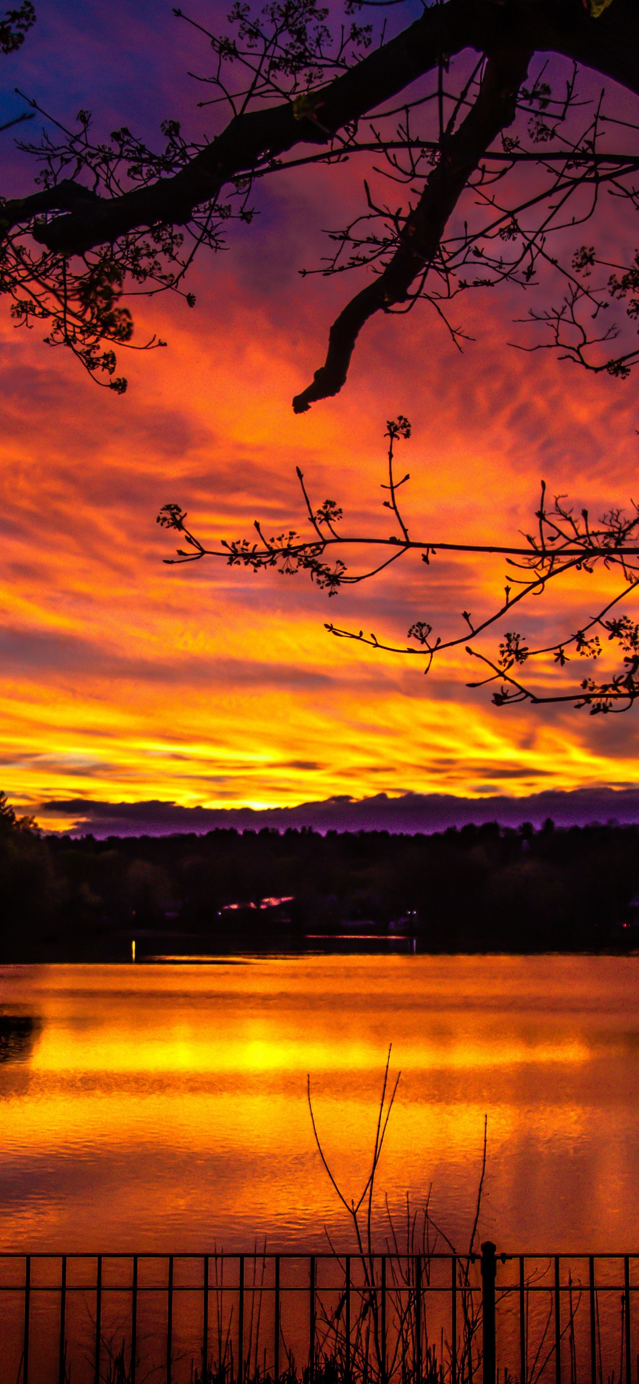 Puesta, Naturaleza, Afterglow, Reflexión, Paisaje Natural. Wallpaper in 1242x2688 Resolution