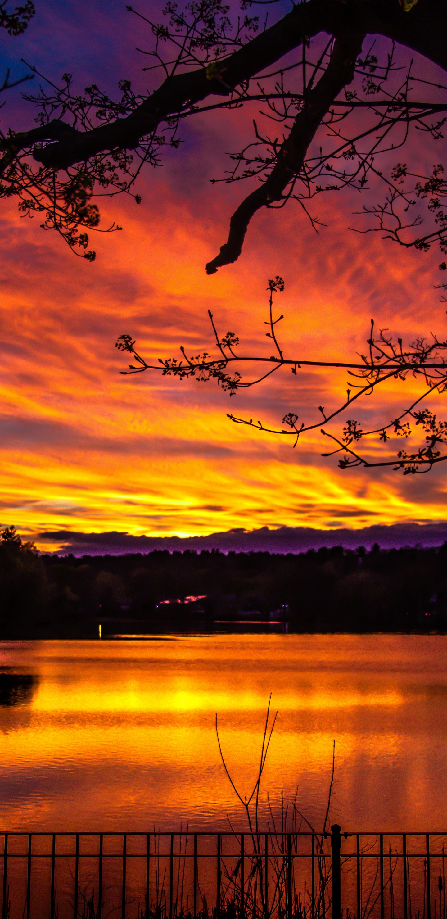 Puesta, Naturaleza, Afterglow, Reflexión, Paisaje Natural. Wallpaper in 1440x2960 Resolution