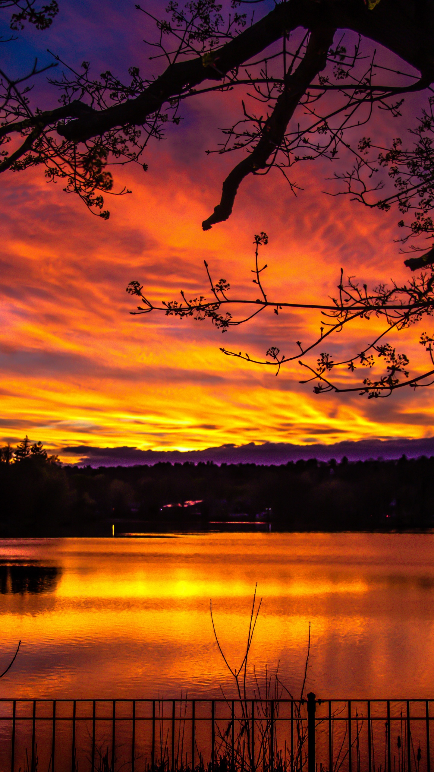 日落, 性质, 余辉, 日出, 反射 壁纸 1440x2560 允许