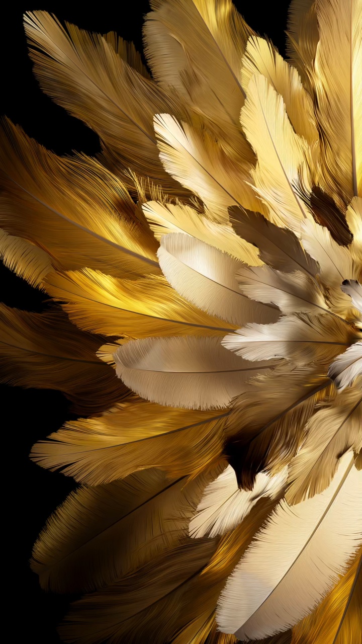 Oppo Find N3 Flip, OPPO, 50 Mégapixels, Smartphone, Dual SIM. Wallpaper in 720x1280 Resolution