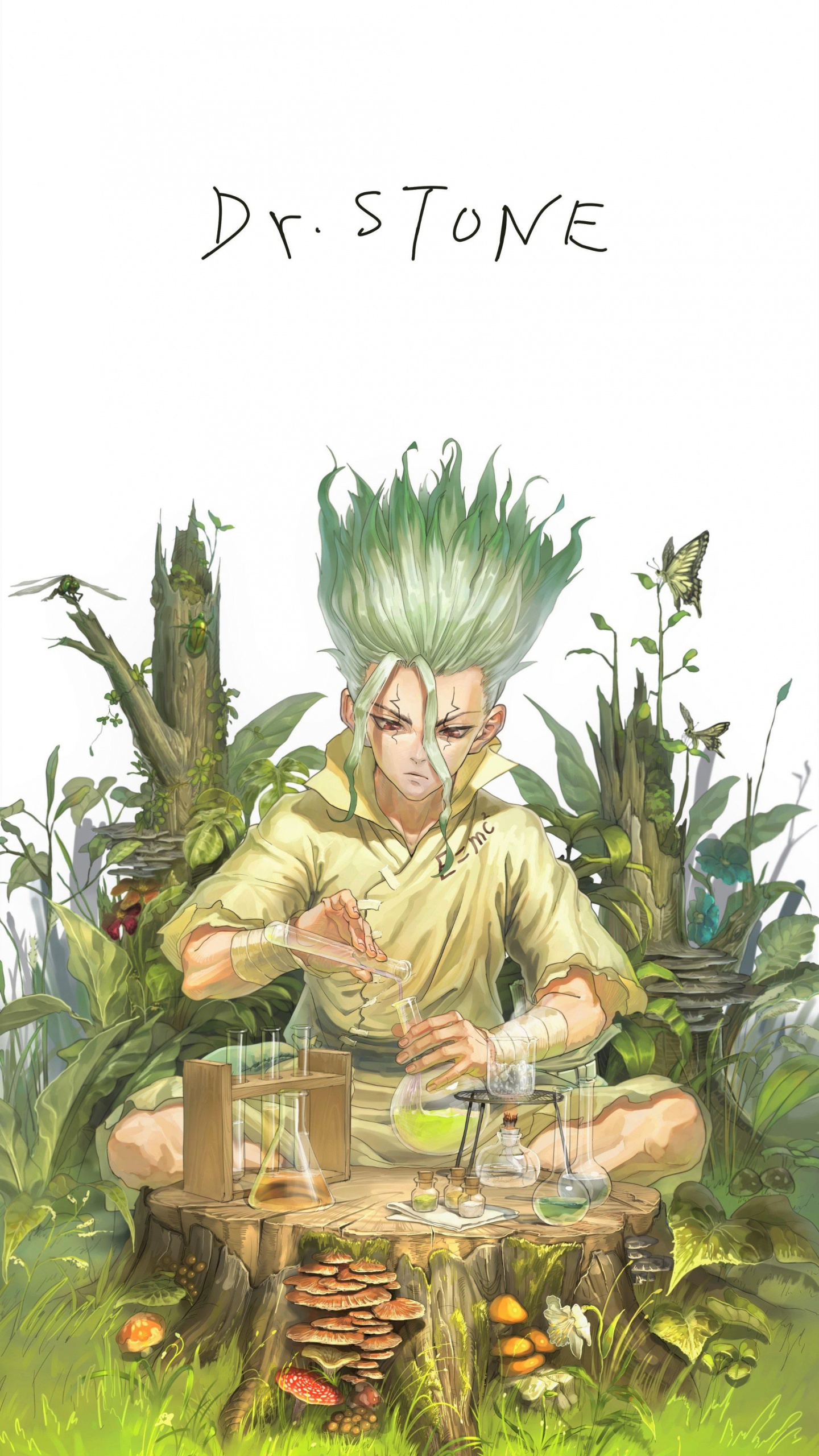 Dr. Stone, Anime, Botanik, Terrestrische Pflanzen, Kunst. Wallpaper in 1440x2560 Resolution