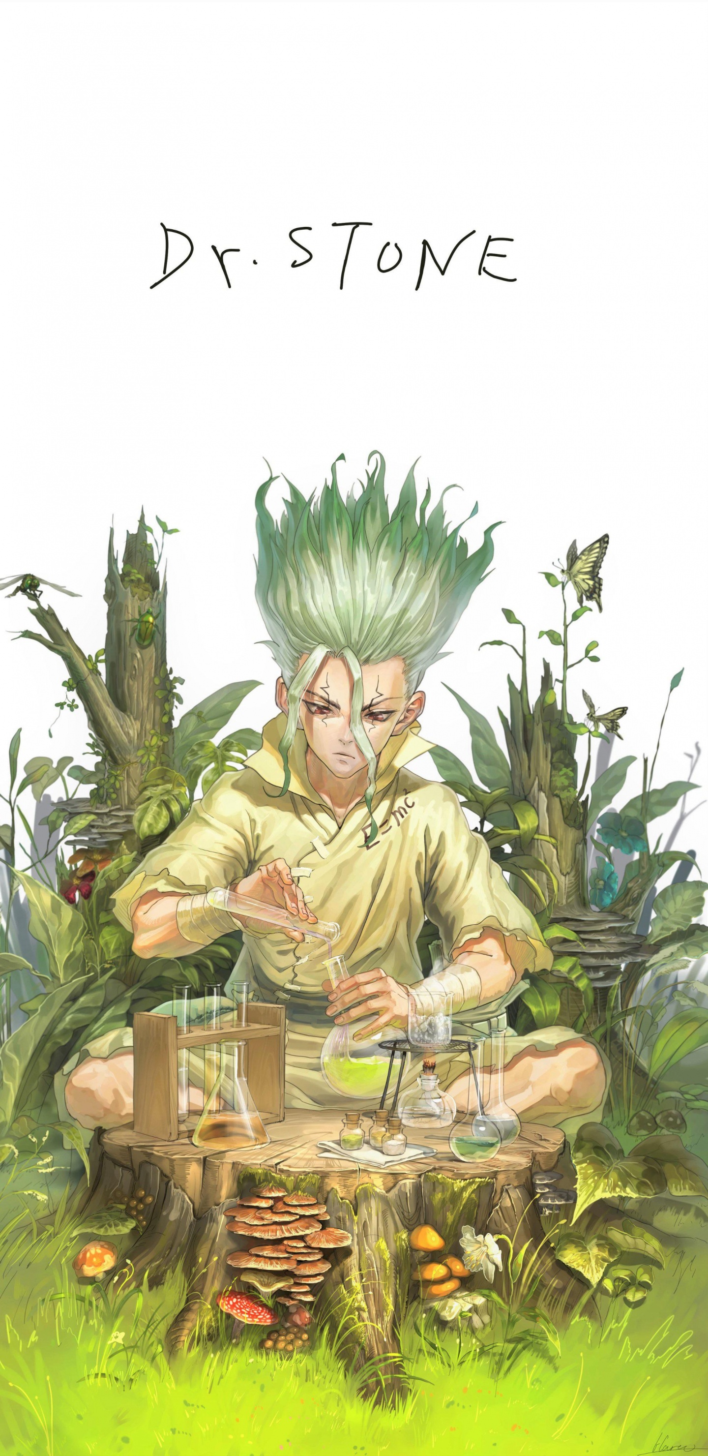 Dr. Stone, Anime, Botanik, Terrestrische Pflanzen, Kunst. Wallpaper in 1440x2960 Resolution