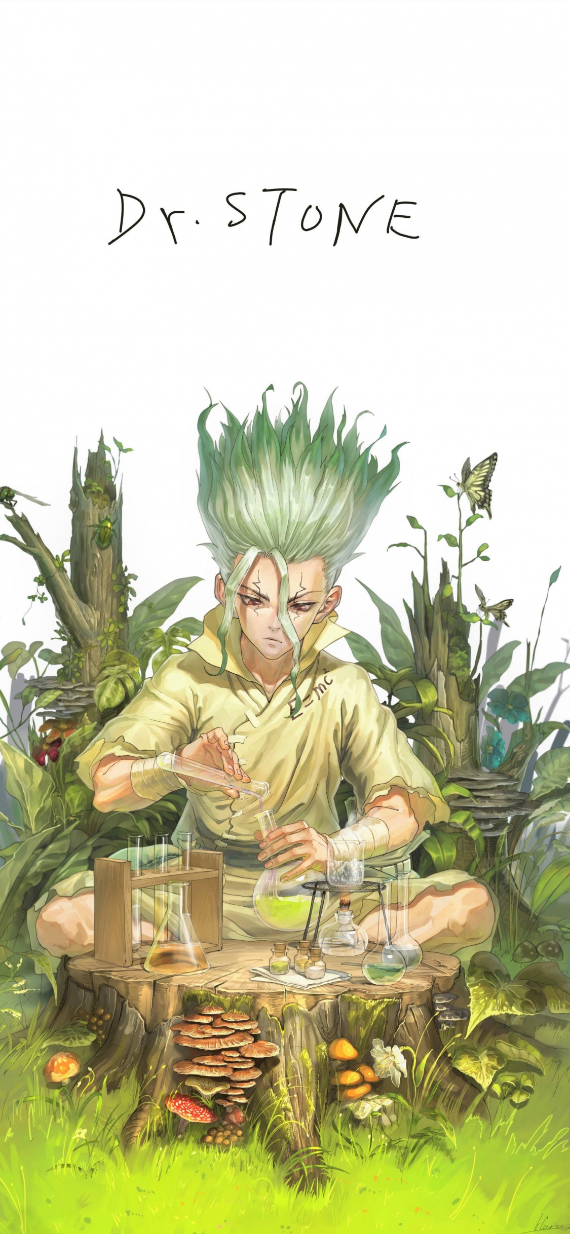 dr Stone, Anime, Plant, Botany, Terrestrial Plant. Wallpaper in 1125x2436 Resolution