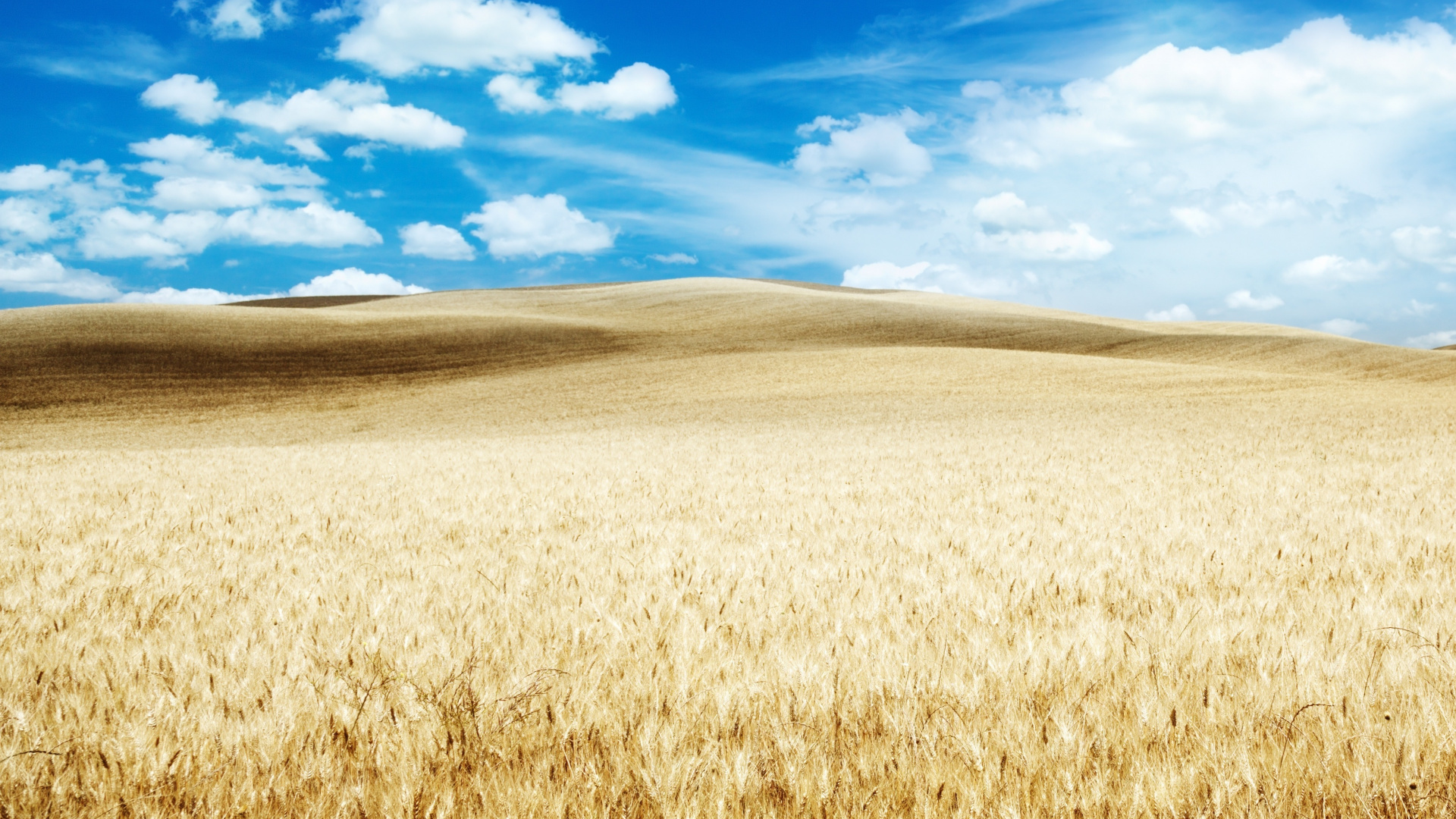 Champ Brun Sous Ciel Bleu et Nuages Blancs Pendant la Journée. Wallpaper in 1920x1080 Resolution