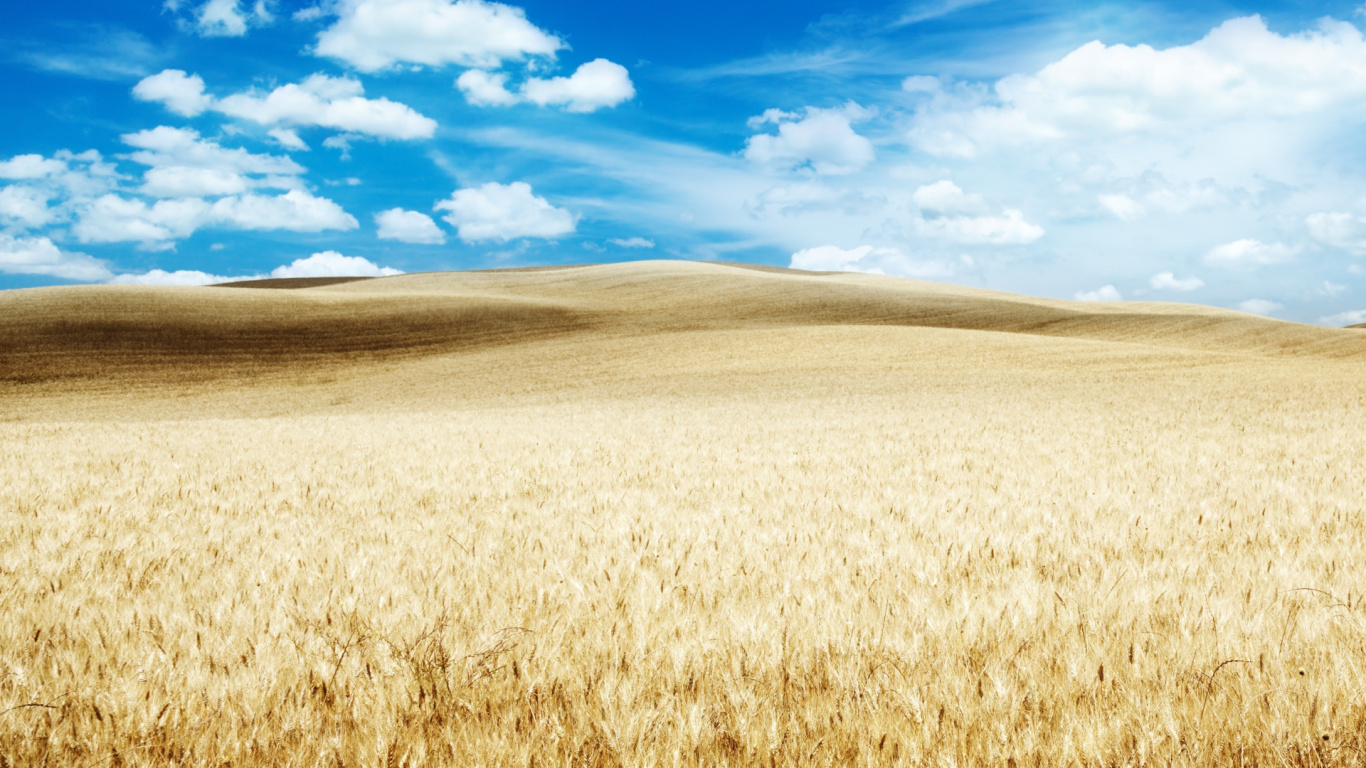 Campo Marrón Bajo un Cielo Azul y Nubes Blancas Durante el Día. Wallpaper in 1366x768 Resolution