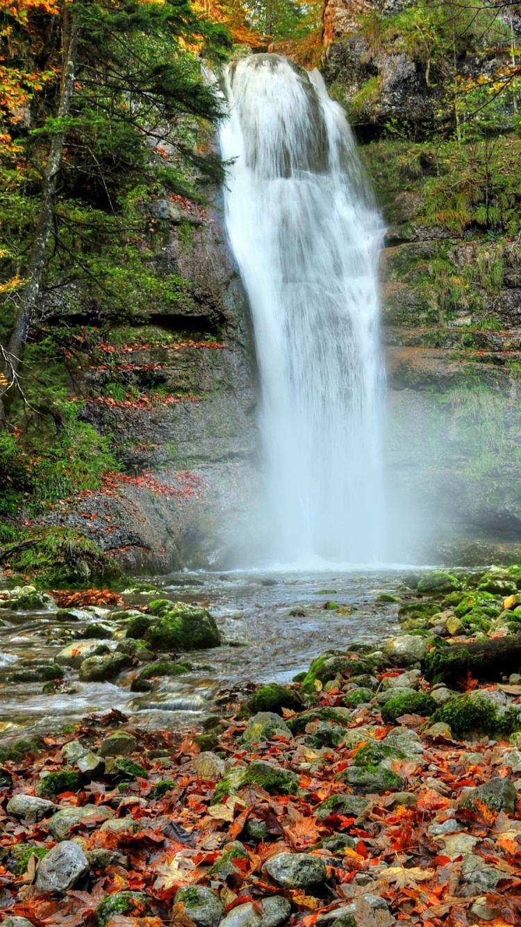 el Agua Cae en el Bosque Durante el Día. Wallpaper in 750x1334 Resolution