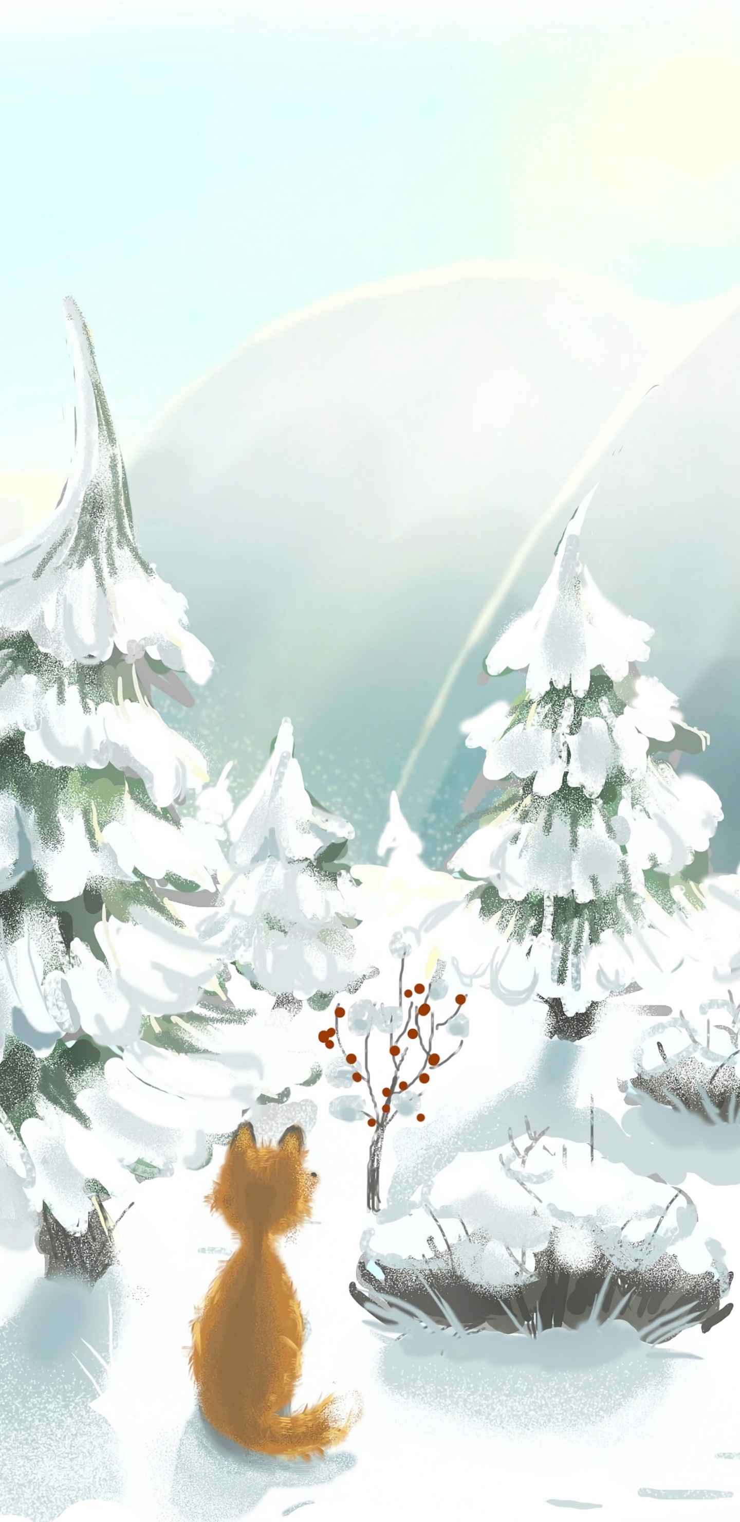 圣诞树, 圣诞节那天, 松的家庭, Fir, 冬天 壁纸 1440x2960 允许