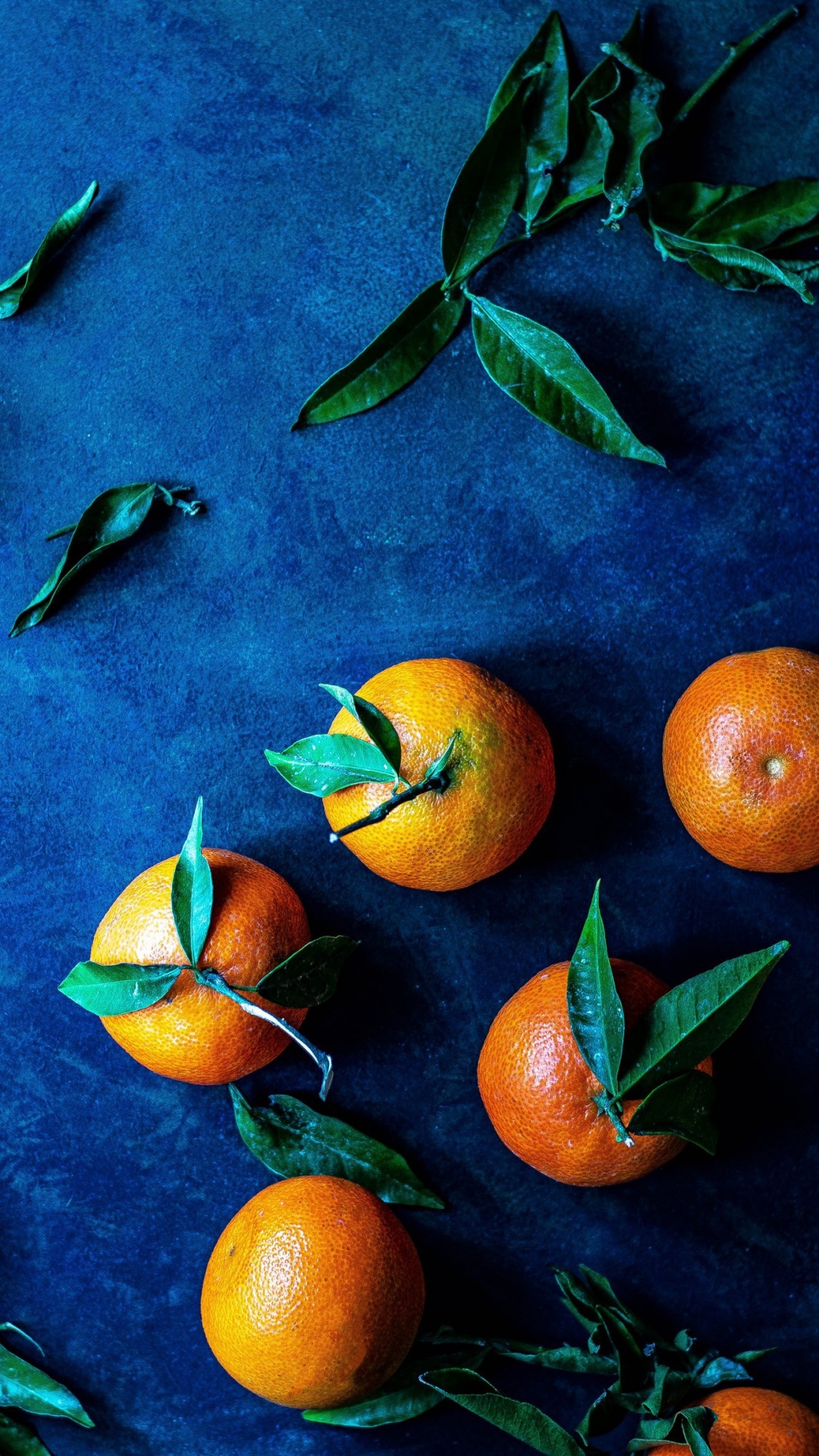 Cocina Casera Portuguesa, Cocina Tradicional Portuguesa, Libro, Cocina, Cocina Portuguesa. Wallpaper in 1080x1920 Resolution