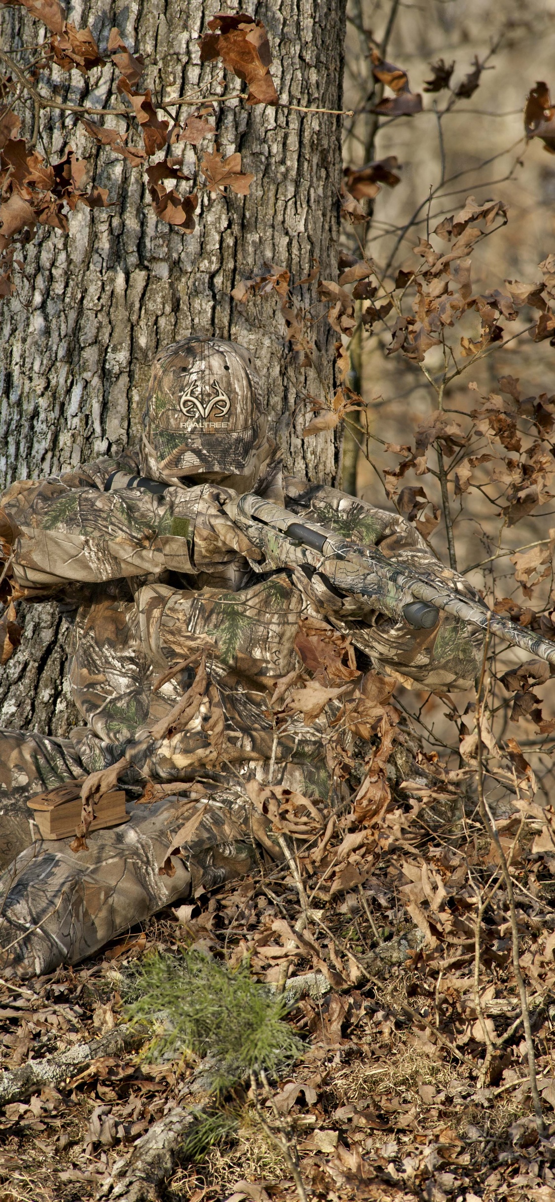 Tronco de Árbol Marrón Con Hojas Secas Marrones. Wallpaper in 1125x2436 Resolution
