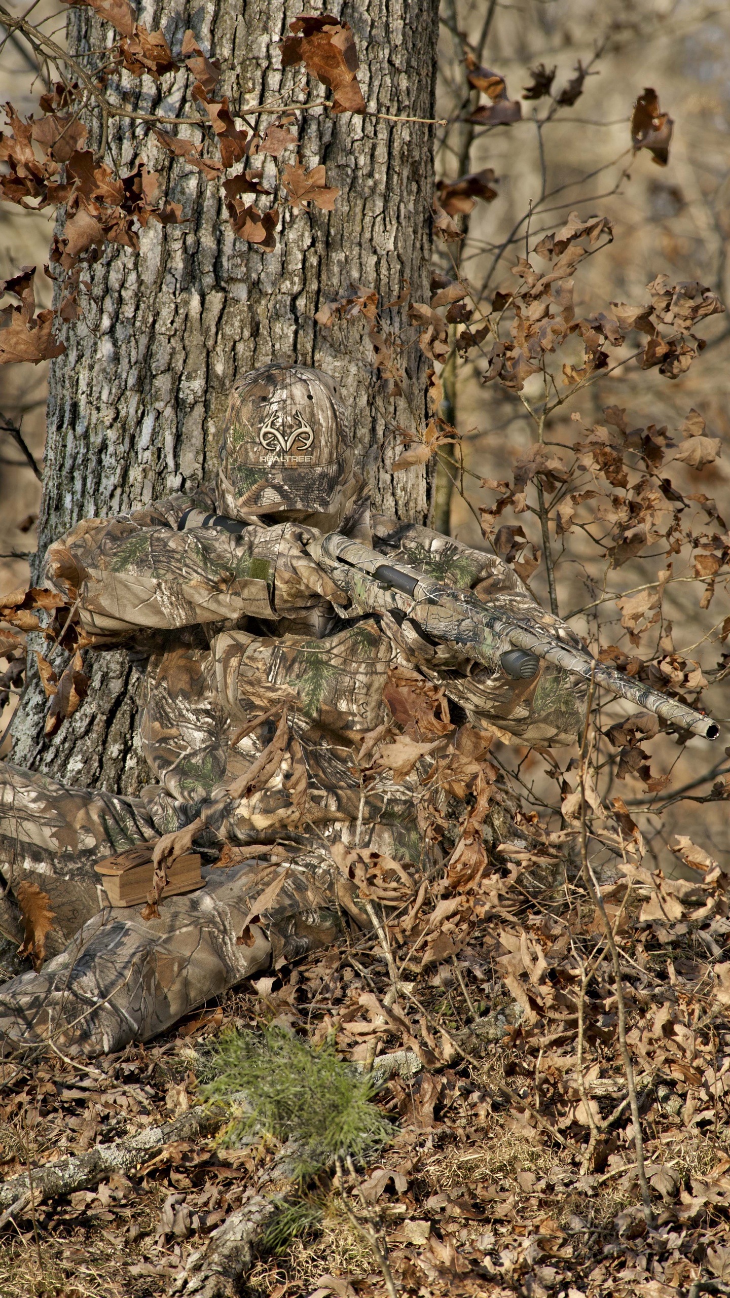 Brown Tree Trunk With Brown Dried Leaves. Wallpaper in 1440x2560 Resolution
