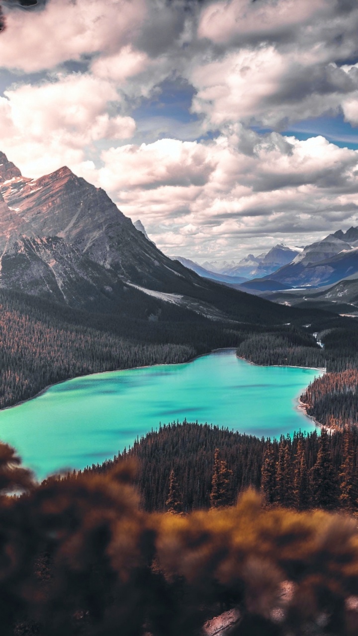 Banff National Park, Banff, Peyto Lake, Moraine Lake, Lake Louise. Wallpaper in 720x1280 Resolution