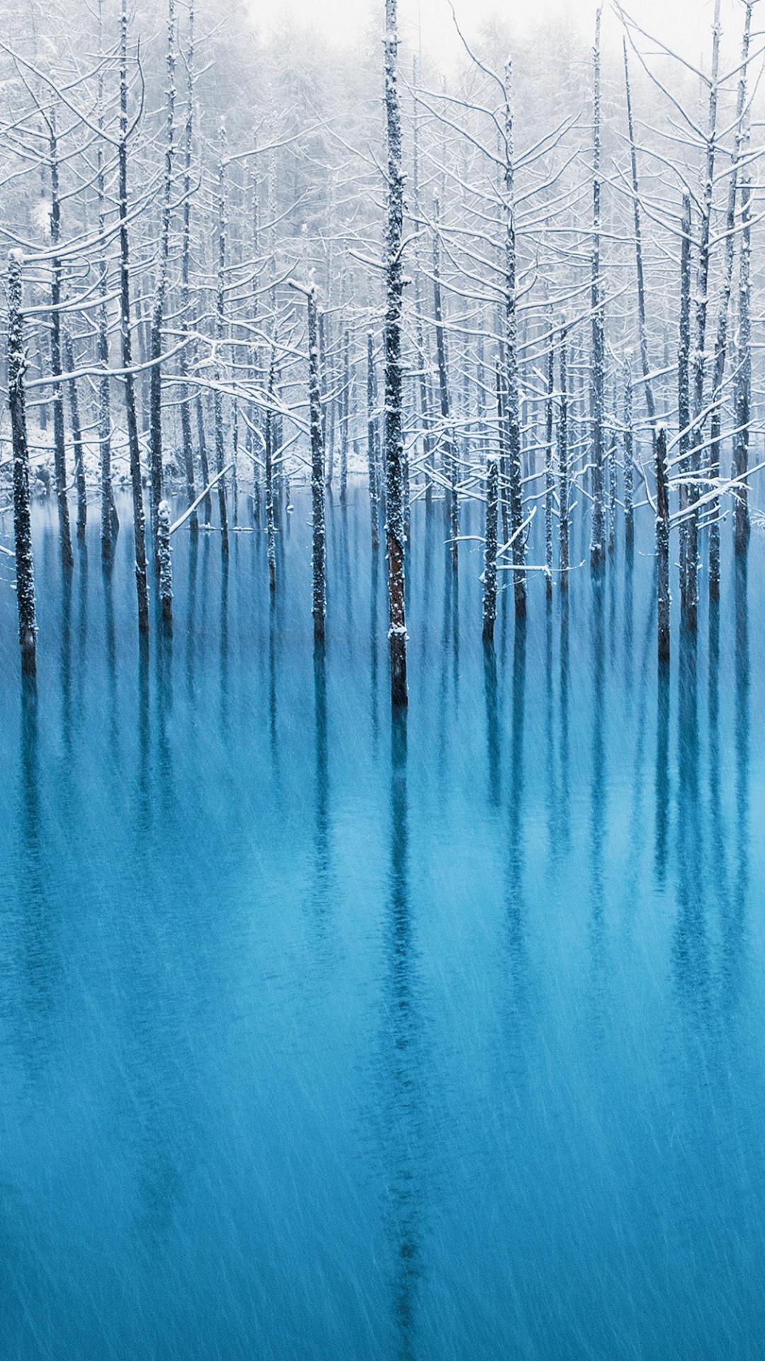 Äpfeln, Smartphone, Ios, Wasser, Blau. Wallpaper in 1080x1920 Resolution