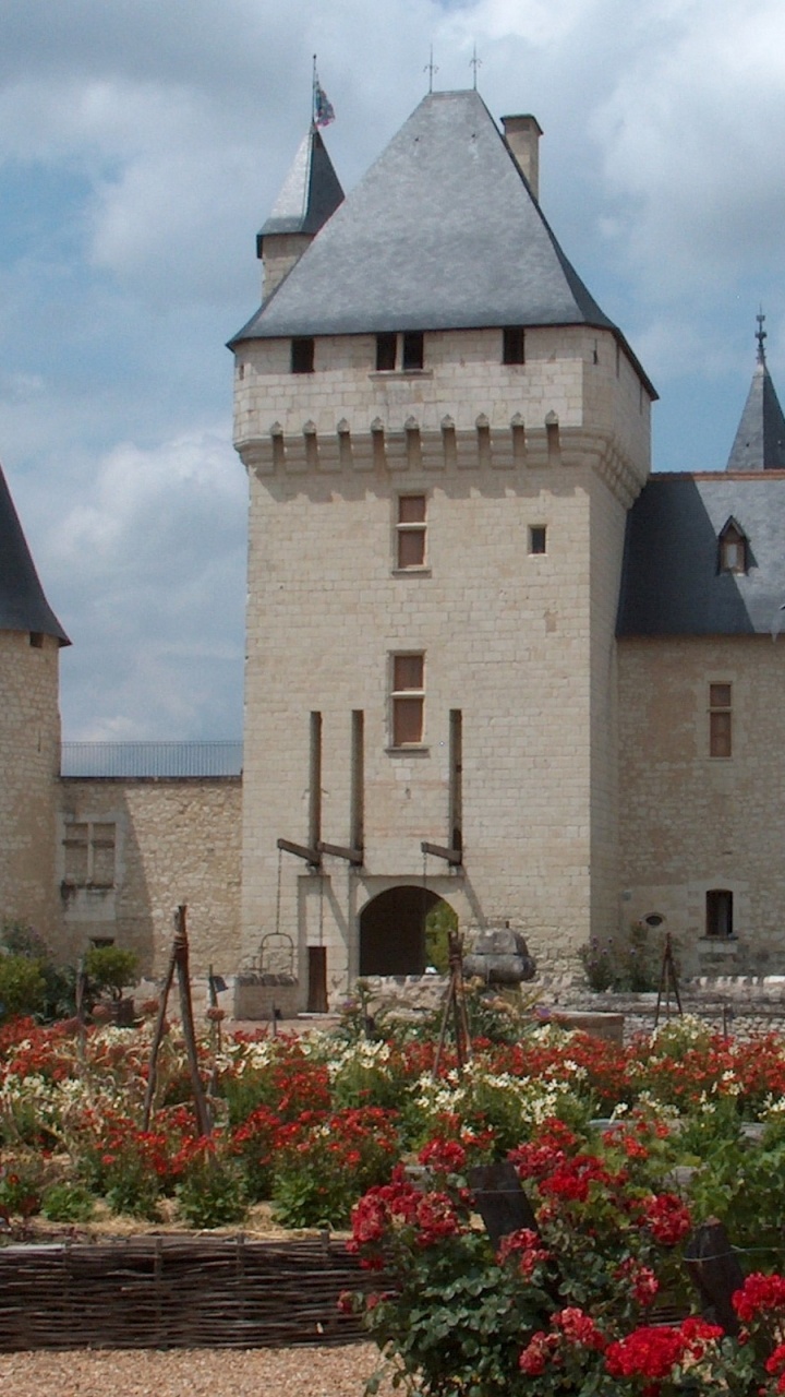 Red Flowers in Front of Gray Concrete Castle. Wallpaper in 720x1280 Resolution