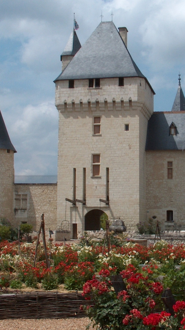 Red Flowers in Front of Gray Concrete Castle. Wallpaper in 750x1334 Resolution