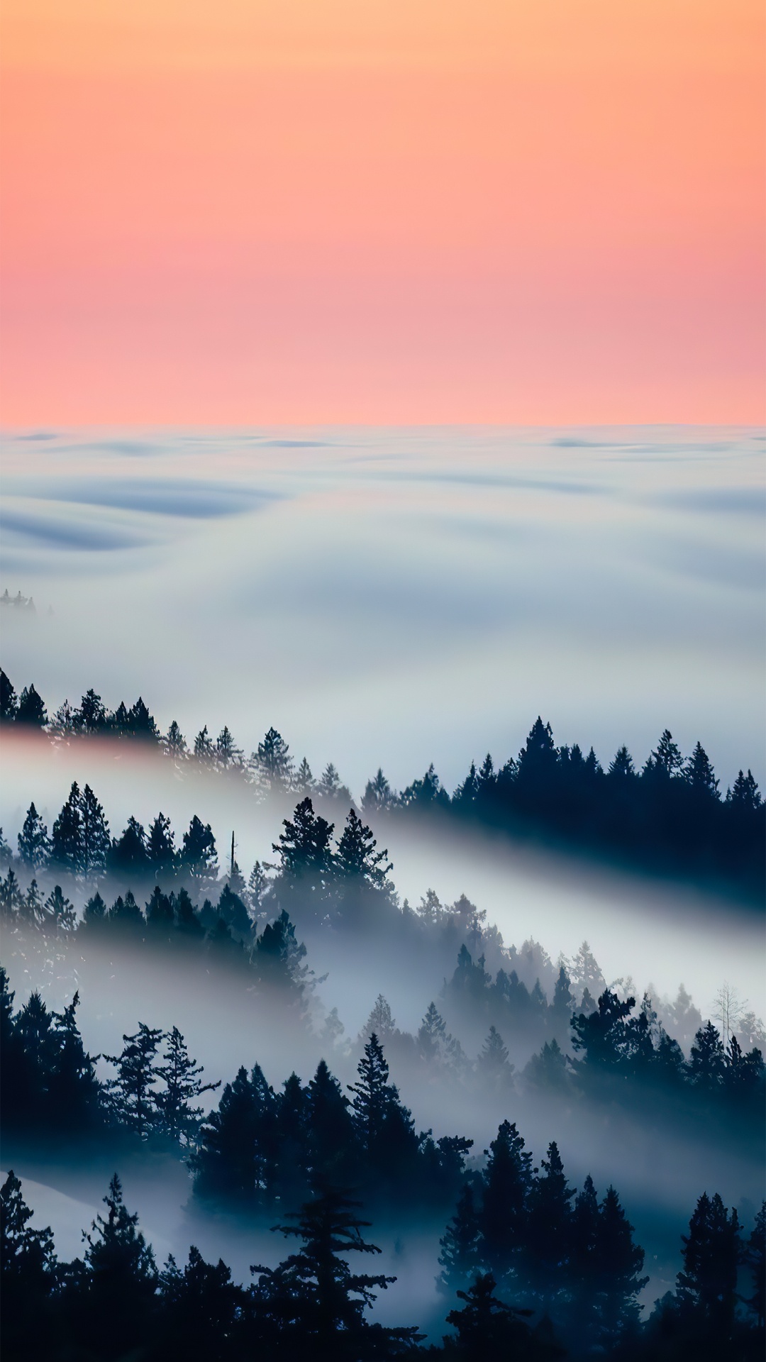 Atmosphère, la Journée, L'écorégion, Paysage Naturel, Environnement Naturel. Wallpaper in 1080x1920 Resolution