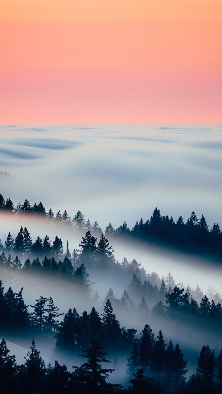 Atmosphère, la Journée, L'écorégion, Paysage Naturel, Environnement Naturel. Wallpaper in 720x1280 Resolution