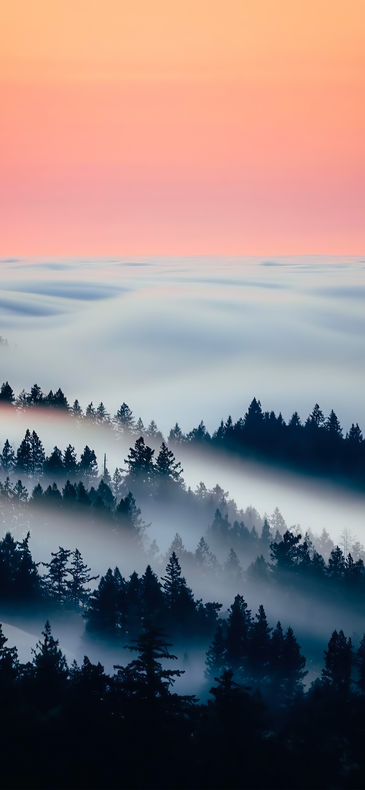 Cloud, Atmosphere, Daytime, Ecoregion, Natural Landscape. Wallpaper in 1242x2688 Resolution