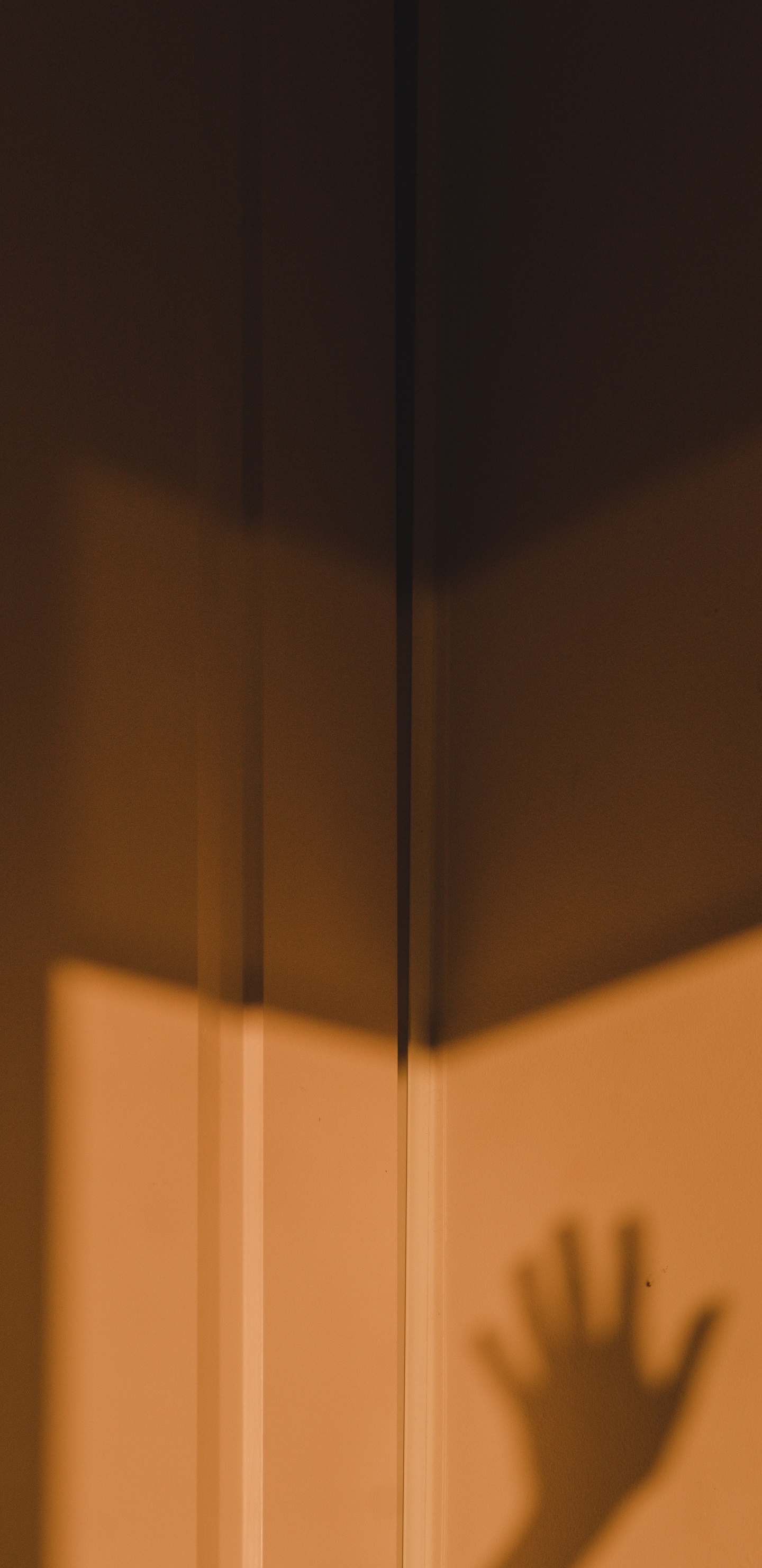 Braune Holztür Mit Weißer Wand. Wallpaper in 1440x2960 Resolution