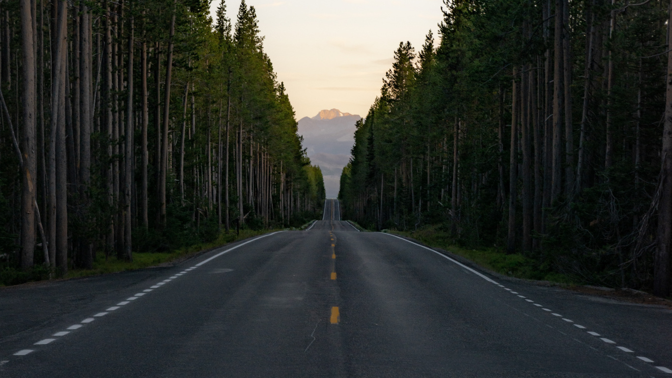 Paysage Naturel, Sapin, Voie, Surface de la Route, Route. Wallpaper in 1366x768 Resolution