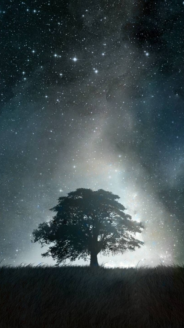 Silueta de Árbol Bajo la Noche Estrellada. Wallpaper in 720x1280 Resolution