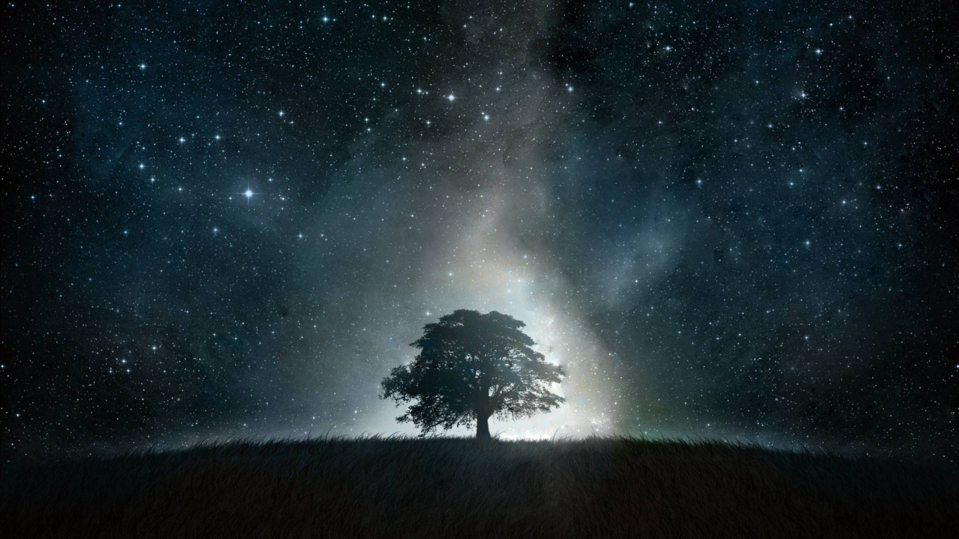 Silhouette of Tree Under Starry Night. Wallpaper in 1366x768 Resolution