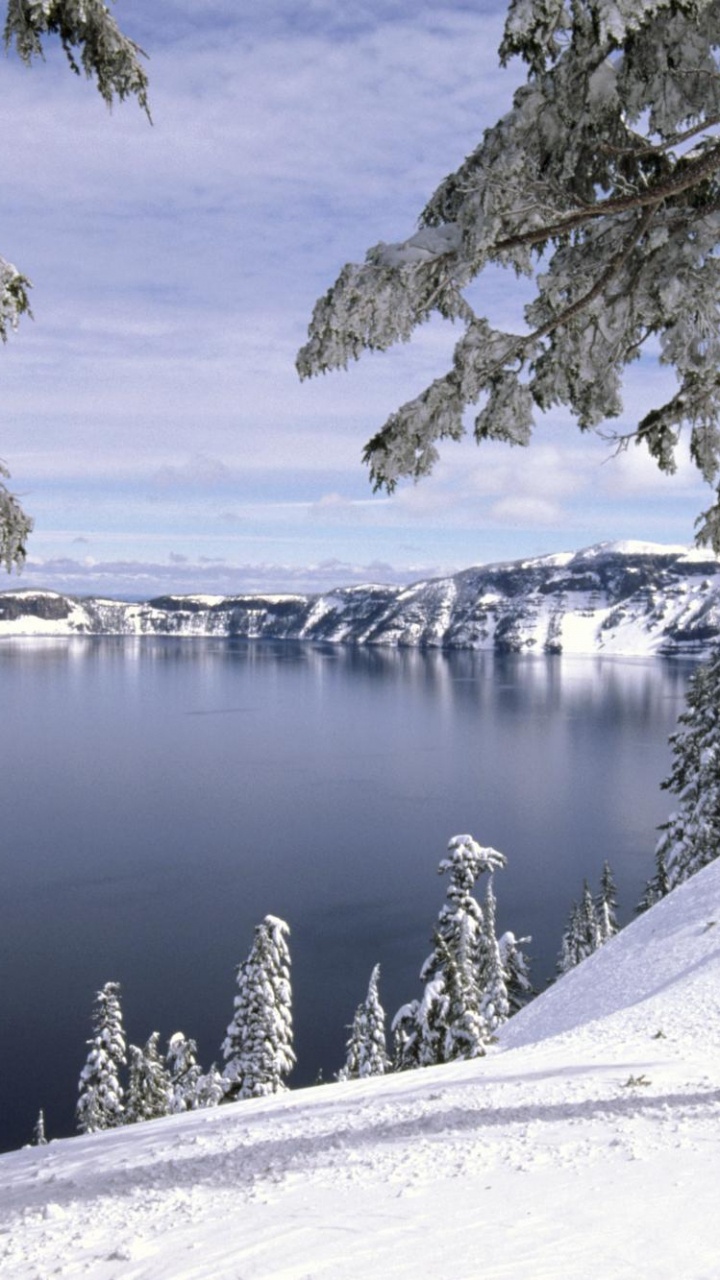 Green Trees Near Lake During Daytime. Wallpaper in 720x1280 Resolution