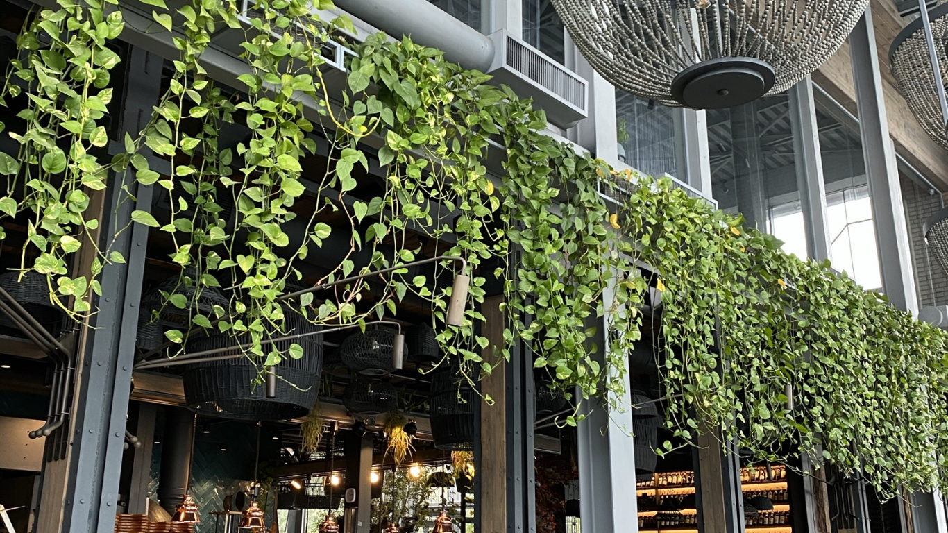 Innenarchitektur, Dach, Leuchte, Strahl, Deckenleuchte. Wallpaper in 1366x768 Resolution