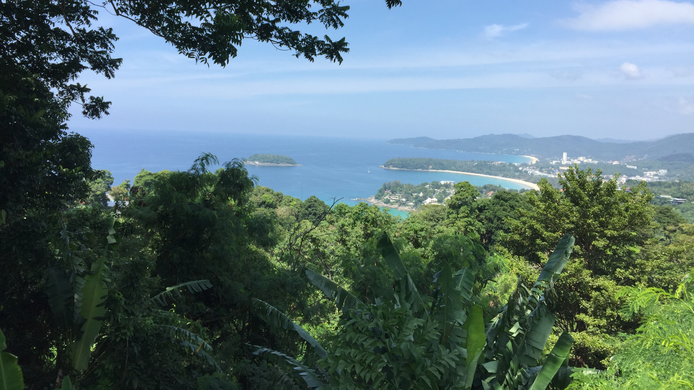 Vegetation, Mount Scenery, Biome, Water, Rainforest. Wallpaper in 1366x768 Resolution