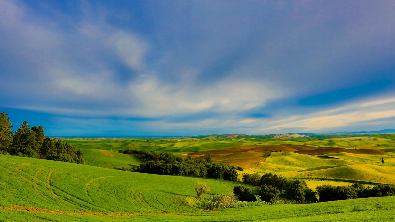 Champ D'herbe Verte Sous Ciel Bleu Pendant la Journée. Wallpaper in 1280x720 Resolution