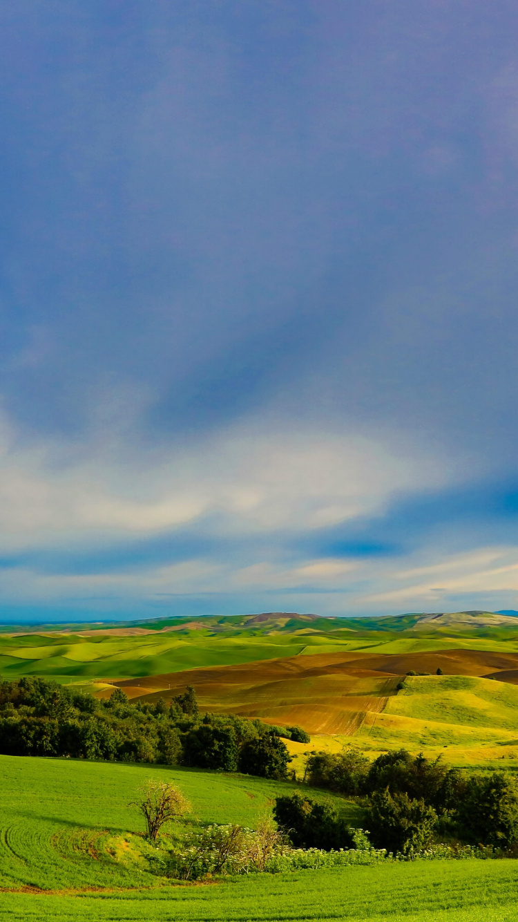 Tagsüber Grüne Wiese Unter Blauem Himmel. Wallpaper in 750x1334 Resolution