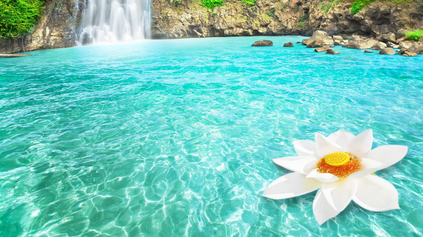 人体内的水, 水资源, 性质, 水道, 休闲 壁纸 1366x768 允许