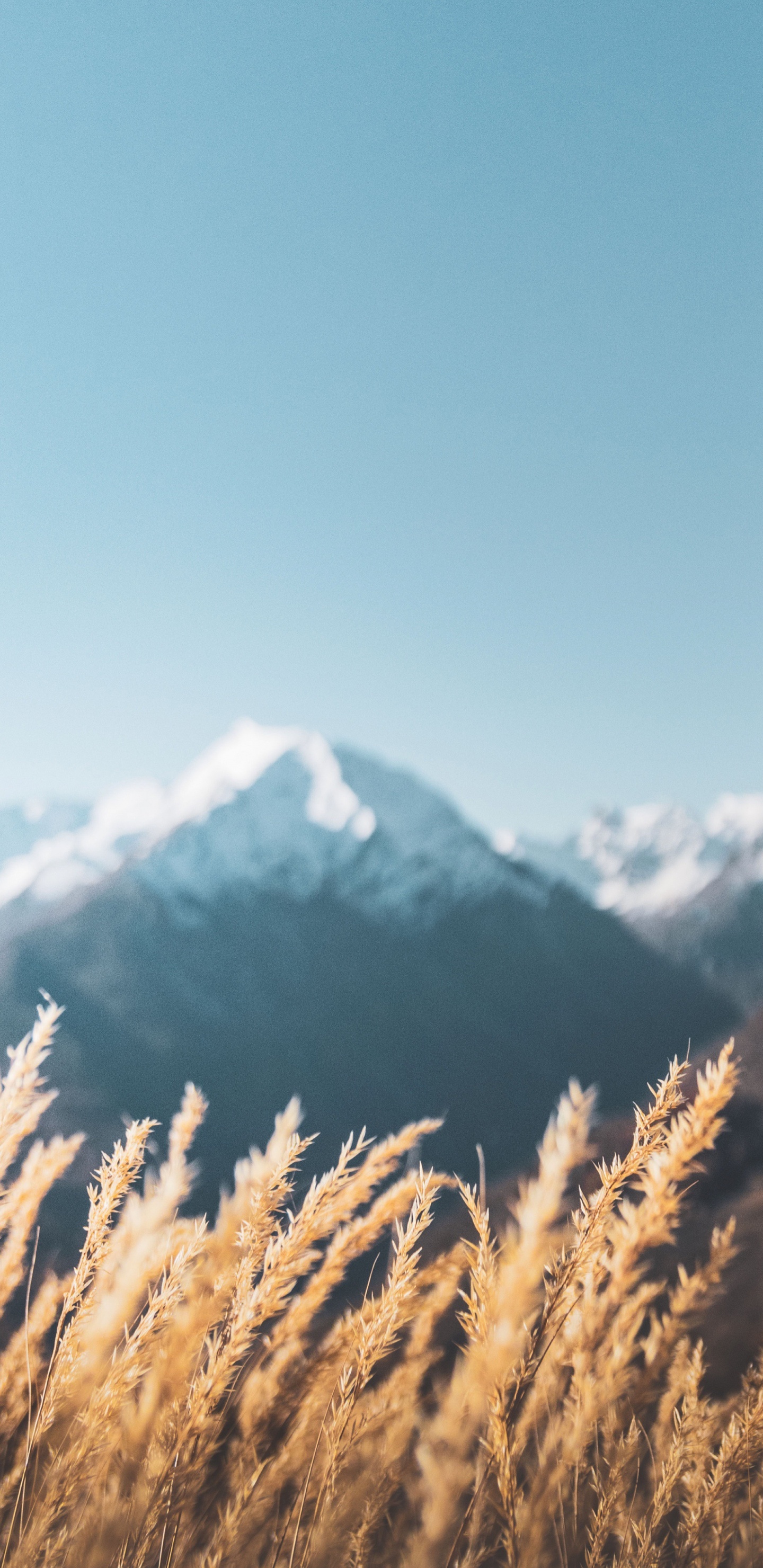 Alpen, Cloud, Schnee, Naturlandschaft, Piste. Wallpaper in 1440x2960 Resolution