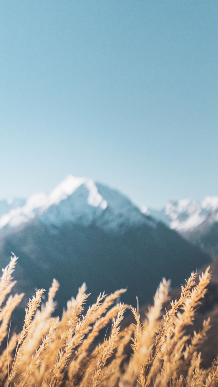 Alpen, Cloud, Schnee, Naturlandschaft, Piste. Wallpaper in 720x1280 Resolution