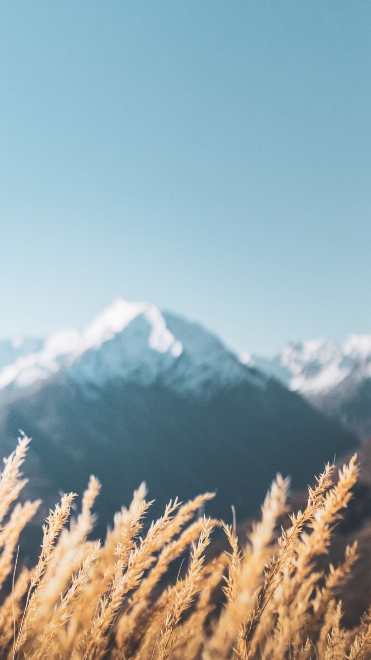 Alpes, Neige, Paysage Naturel, Pente, Highland. Wallpaper in 750x1334 Resolution