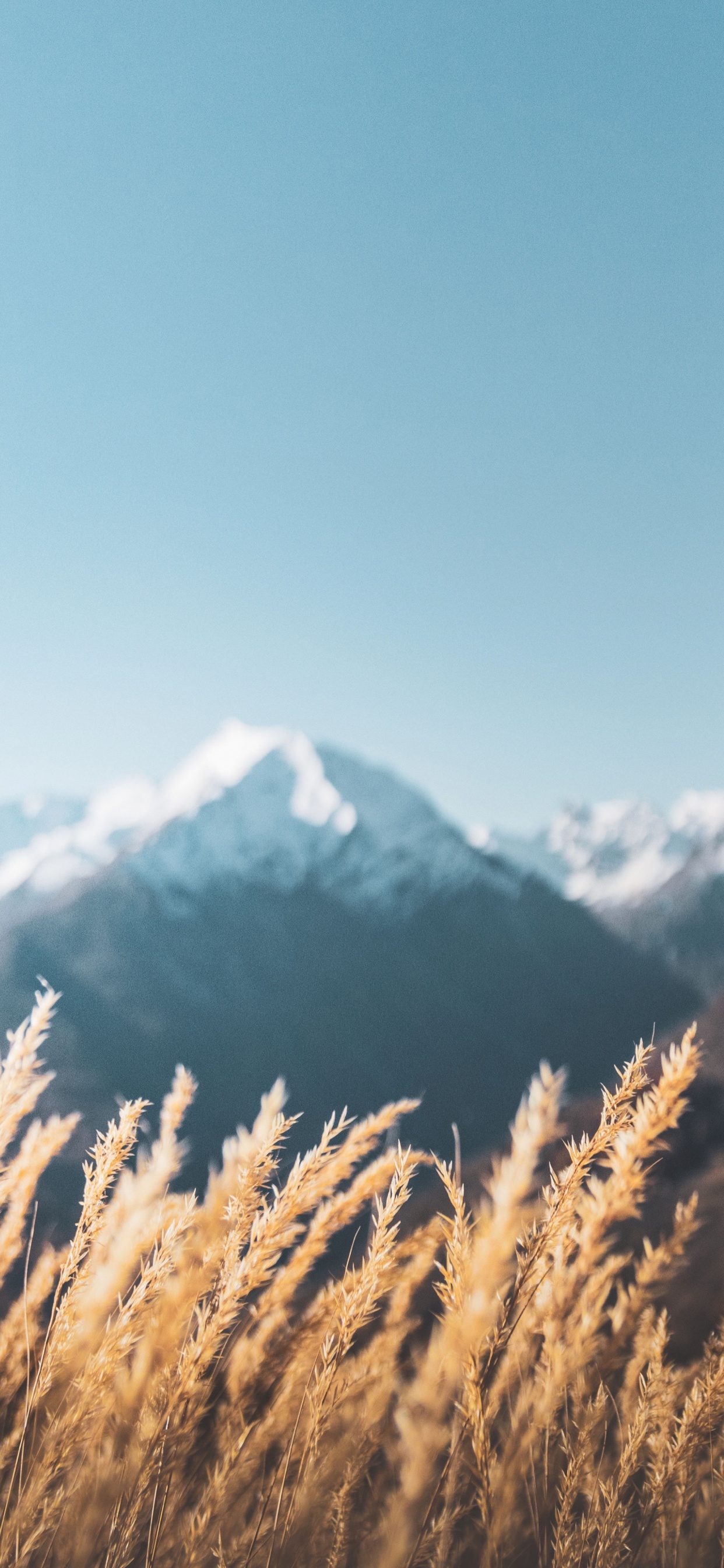 Alps, Plant, Mountain, Cloud, Snow. Wallpaper in 1242x2688 Resolution
