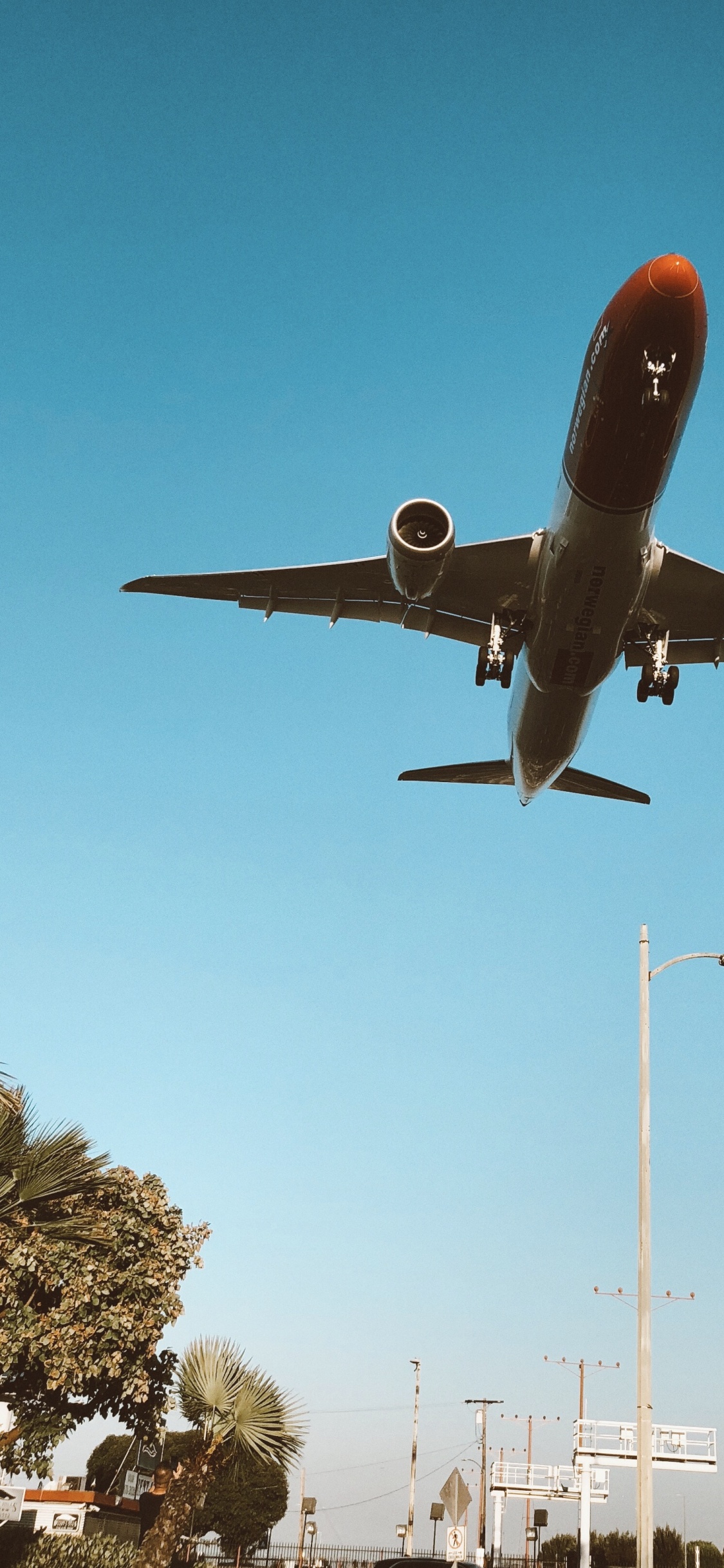 Los Angeles, Flugreise, Wide-body-Flugzeuge, Reise, Verkehrsflugzeug. Wallpaper in 1125x2436 Resolution