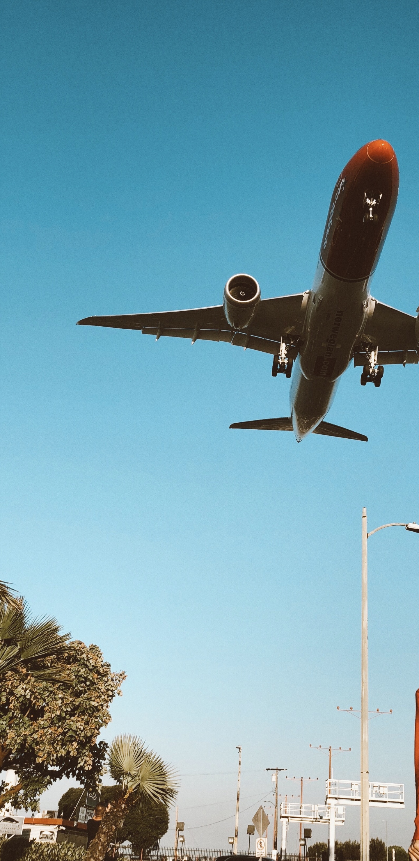 Los Angeles, Flugreise, Wide-body-Flugzeuge, Reise, Verkehrsflugzeug. Wallpaper in 1440x2960 Resolution