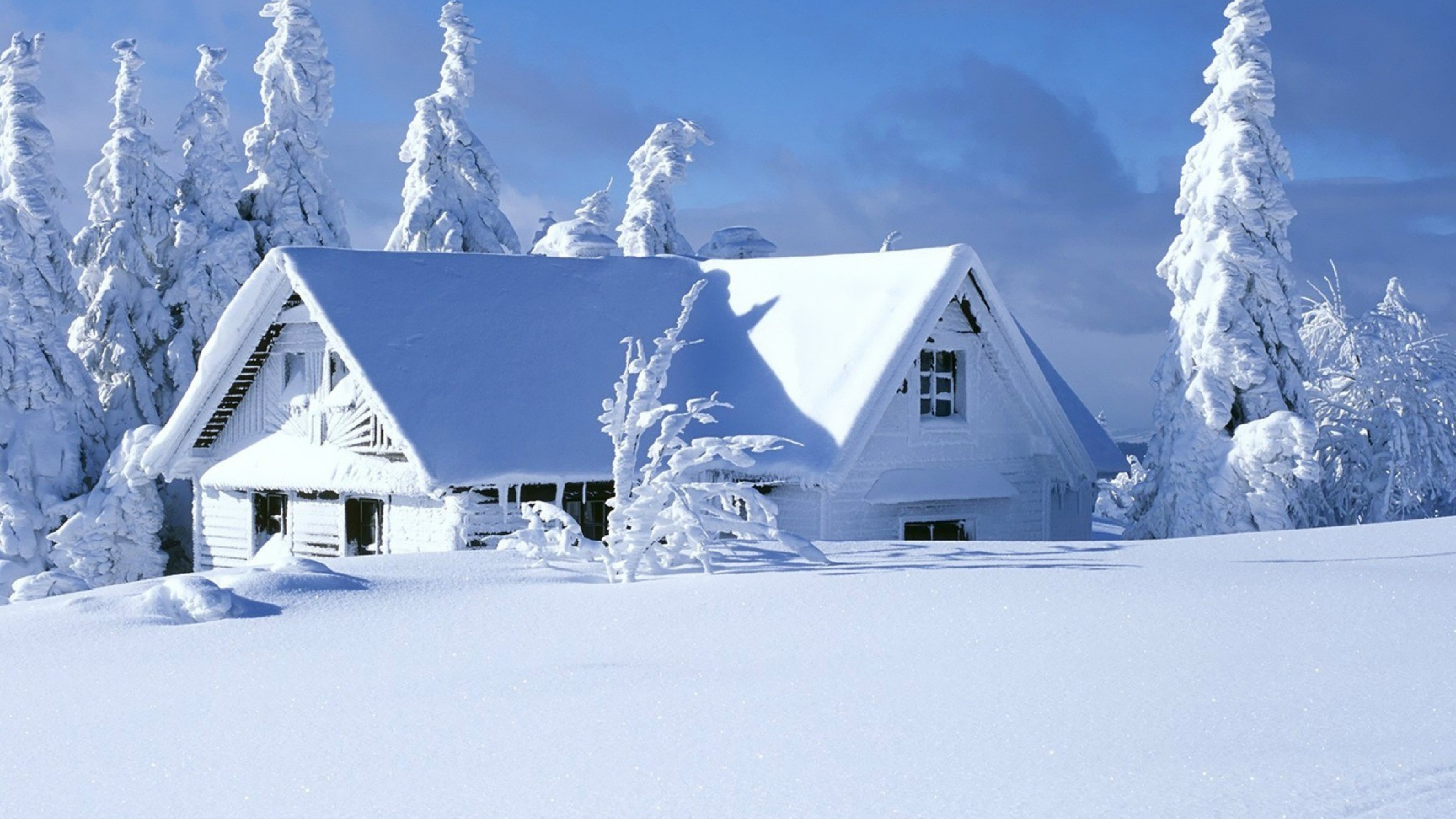 Casa Blanca y Gris Cerca de Árboles Cubiertos de Nieve. Wallpaper in 3840x2160 Resolution