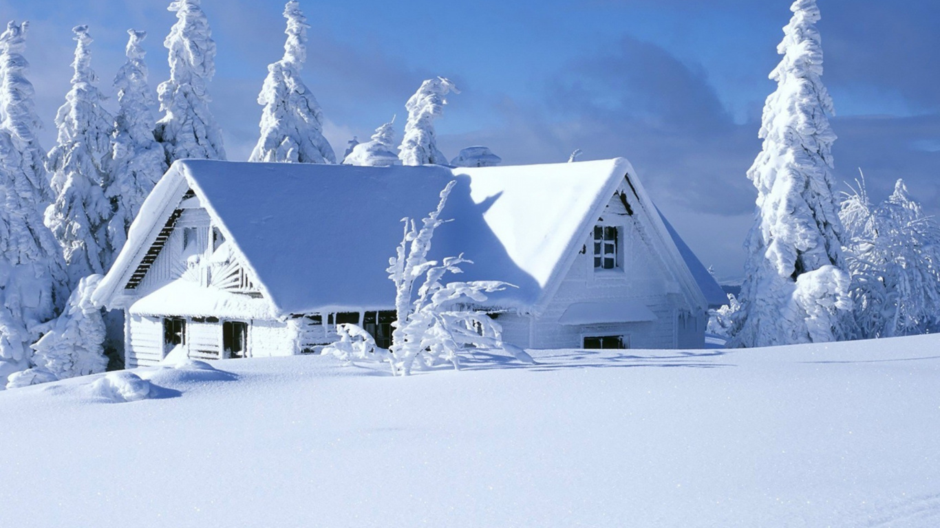 Maison Blanche et Grise Près Des Arbres Couverts de Neige. Wallpaper in 1366x768 Resolution