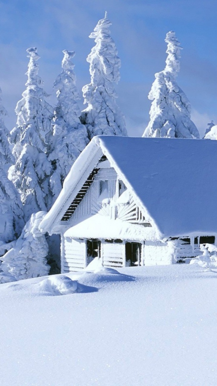 Maison Blanche et Grise Près Des Arbres Couverts de Neige. Wallpaper in 720x1280 Resolution