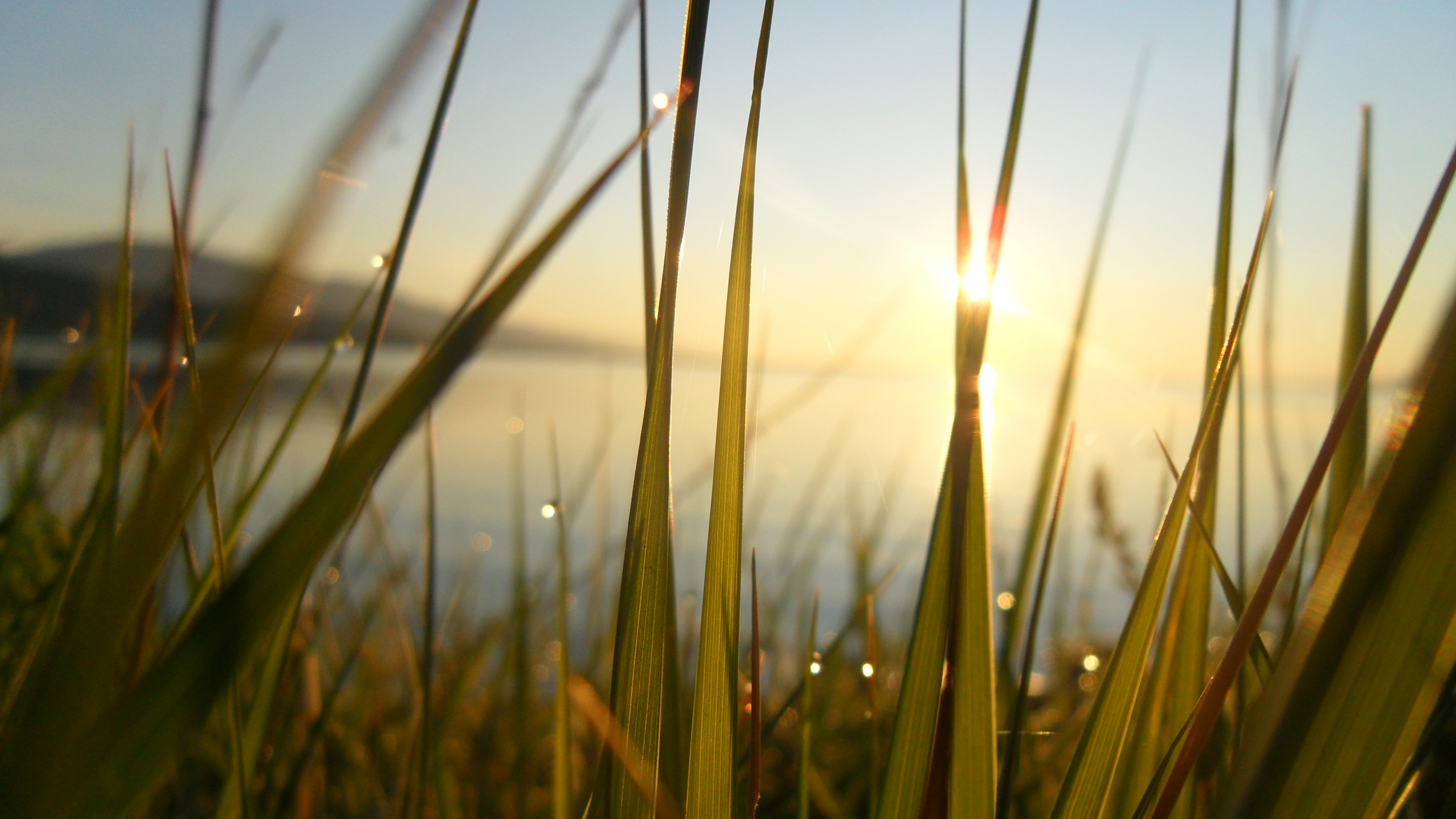 Champ D'herbe Verte Pendant la Journée. Wallpaper in 3840x2160 Resolution