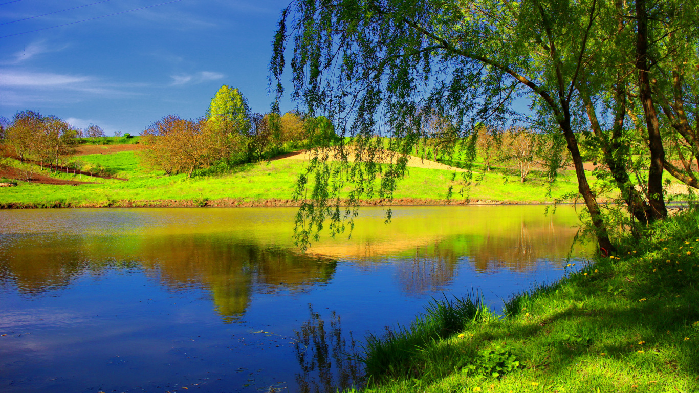 Tagsüber Grüne Wiese in Der Nähe Des Sees. Wallpaper in 1366x768 Resolution