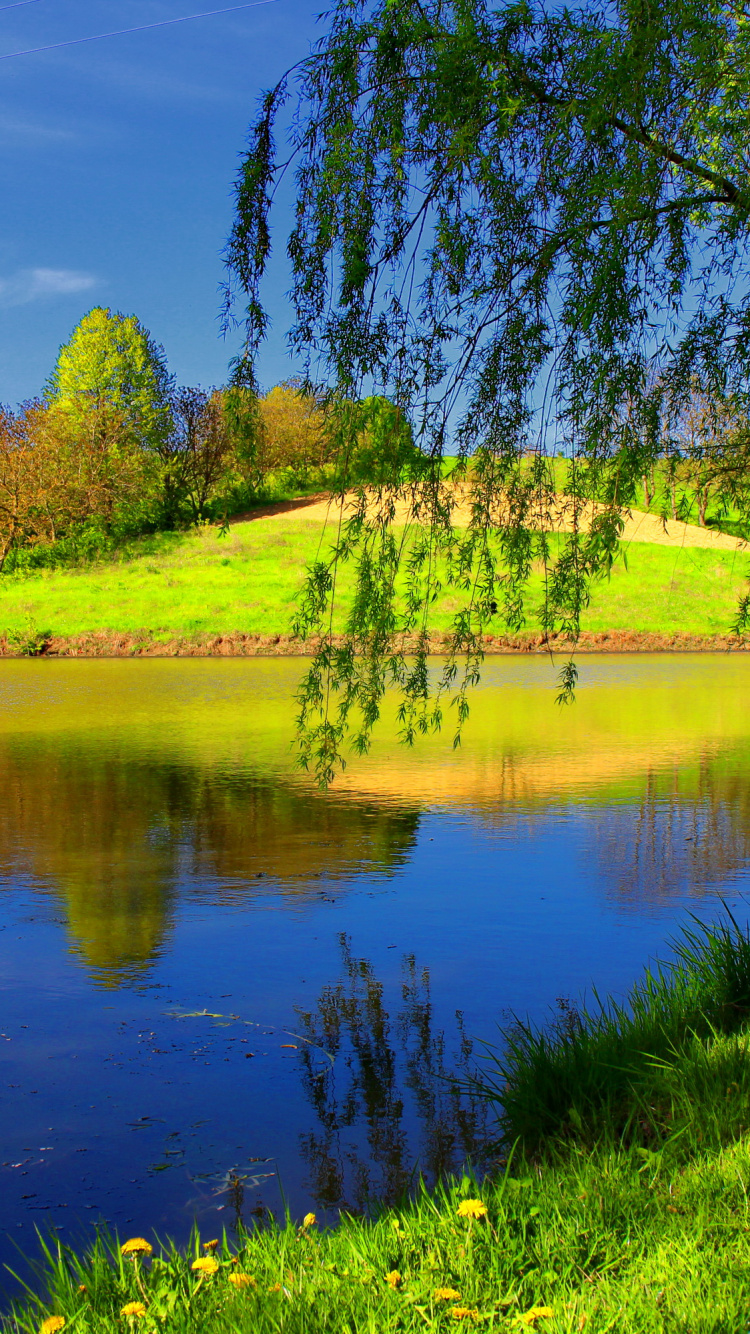 Green Grass Field Near Lake During Daytime. Wallpaper in 750x1334 Resolution