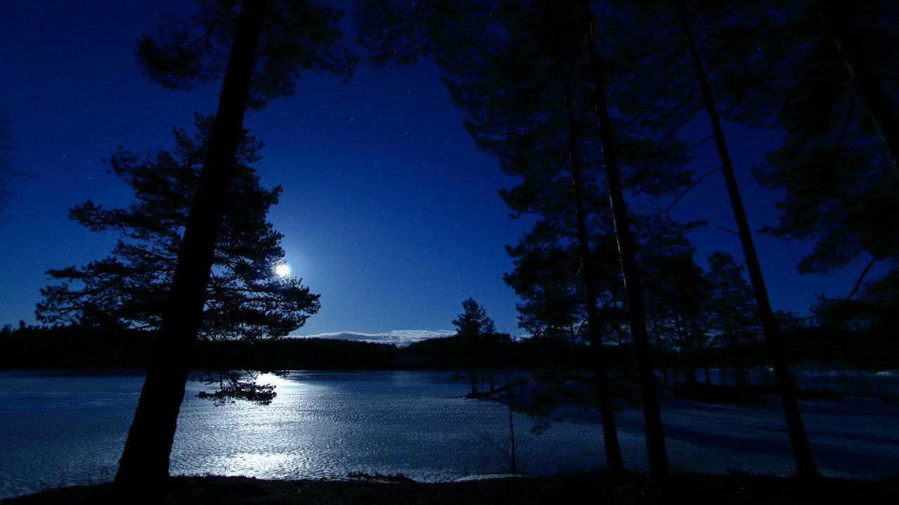 Nacht, Wasser, Natur, Blau, Baum. Wallpaper in 1280x720 Resolution