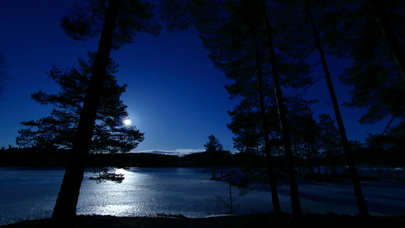 Nacht, Wasser, Natur, Blau, Baum. Wallpaper in 1366x768 Resolution